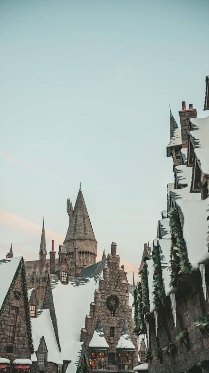 Walk Through the Forbidden Forest at the New Harry Potter Experience