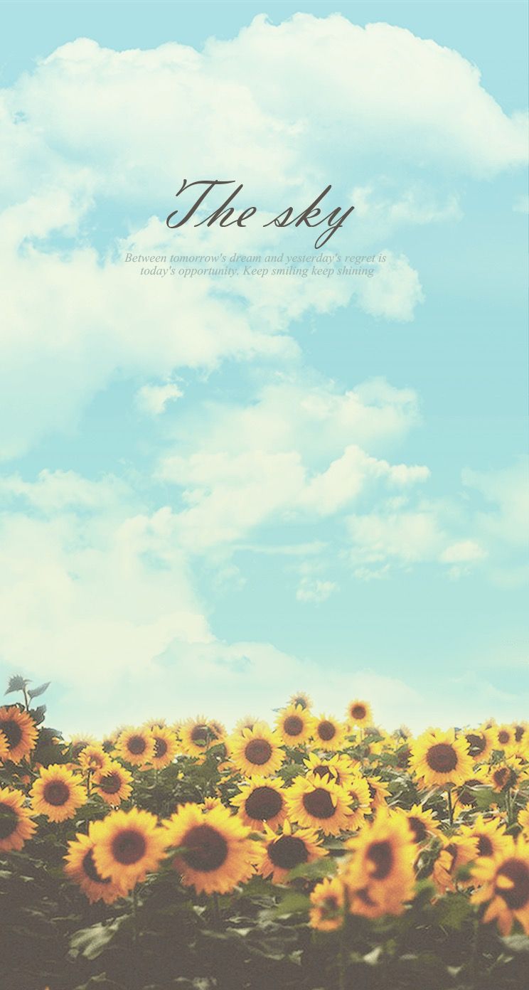 Sunflower Sky Keep Shining Android Wallpaper free download