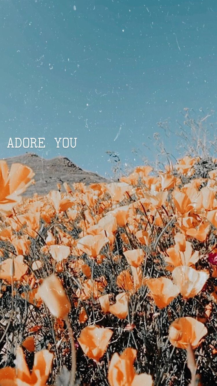 Harry Styles Adore You Wallpaper Free Harry Styles Adore You Background