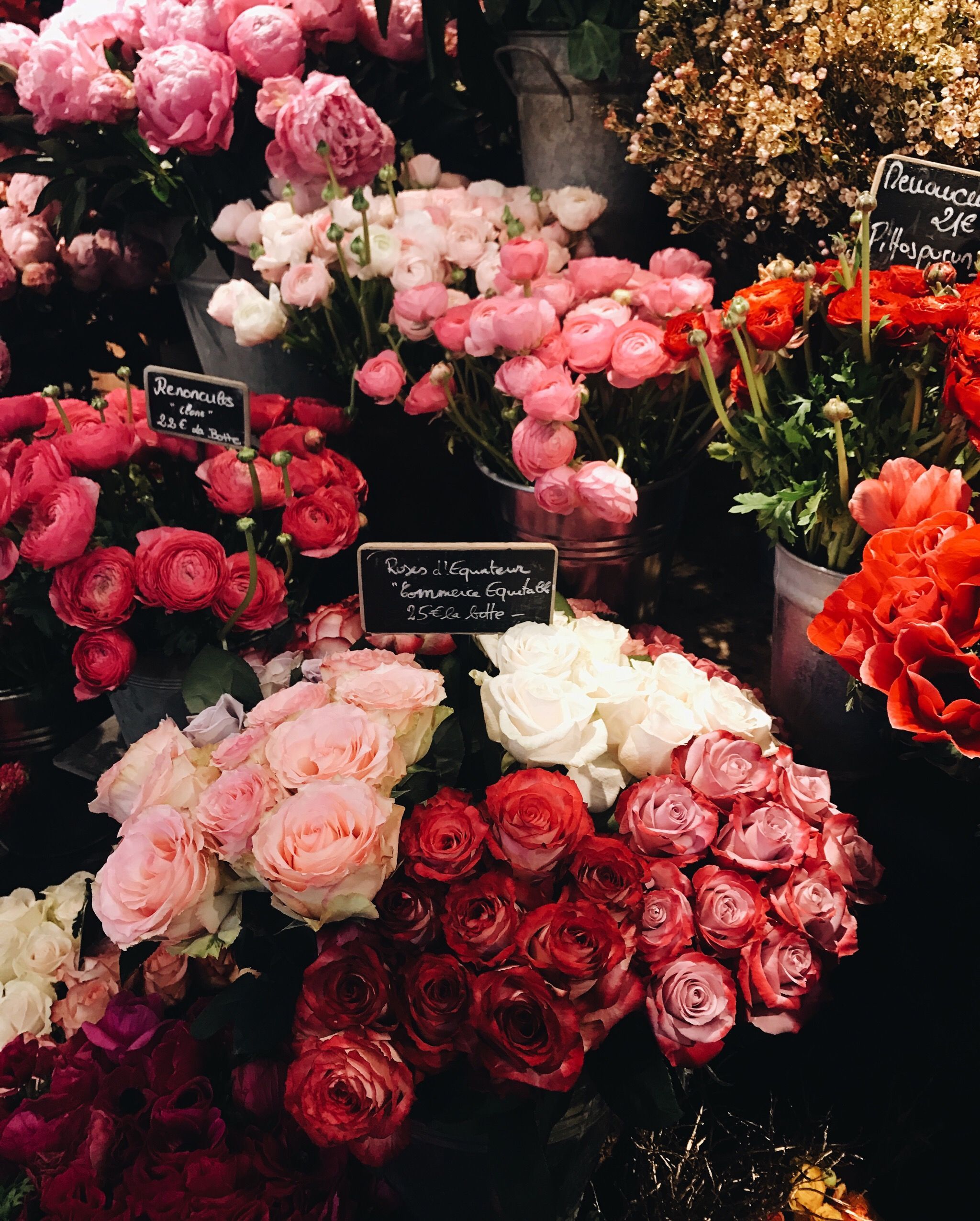 Jessica Whitaker fresh pink and red roses bouquets at a flower shop in Paris, France. Flower aesthetic, Pretty flowers, Flower iphone wallpaper