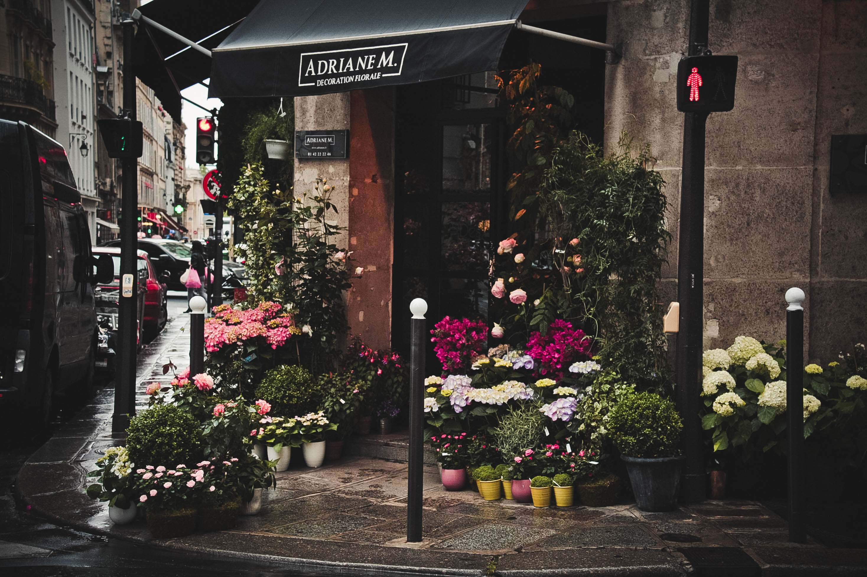 architecture, building, city, doorway, flower shop, flowers, market, outdoors, pavement, road, shop, stock, street, town, travel, urban wallpaper. Mocah.org HD Wallpaper