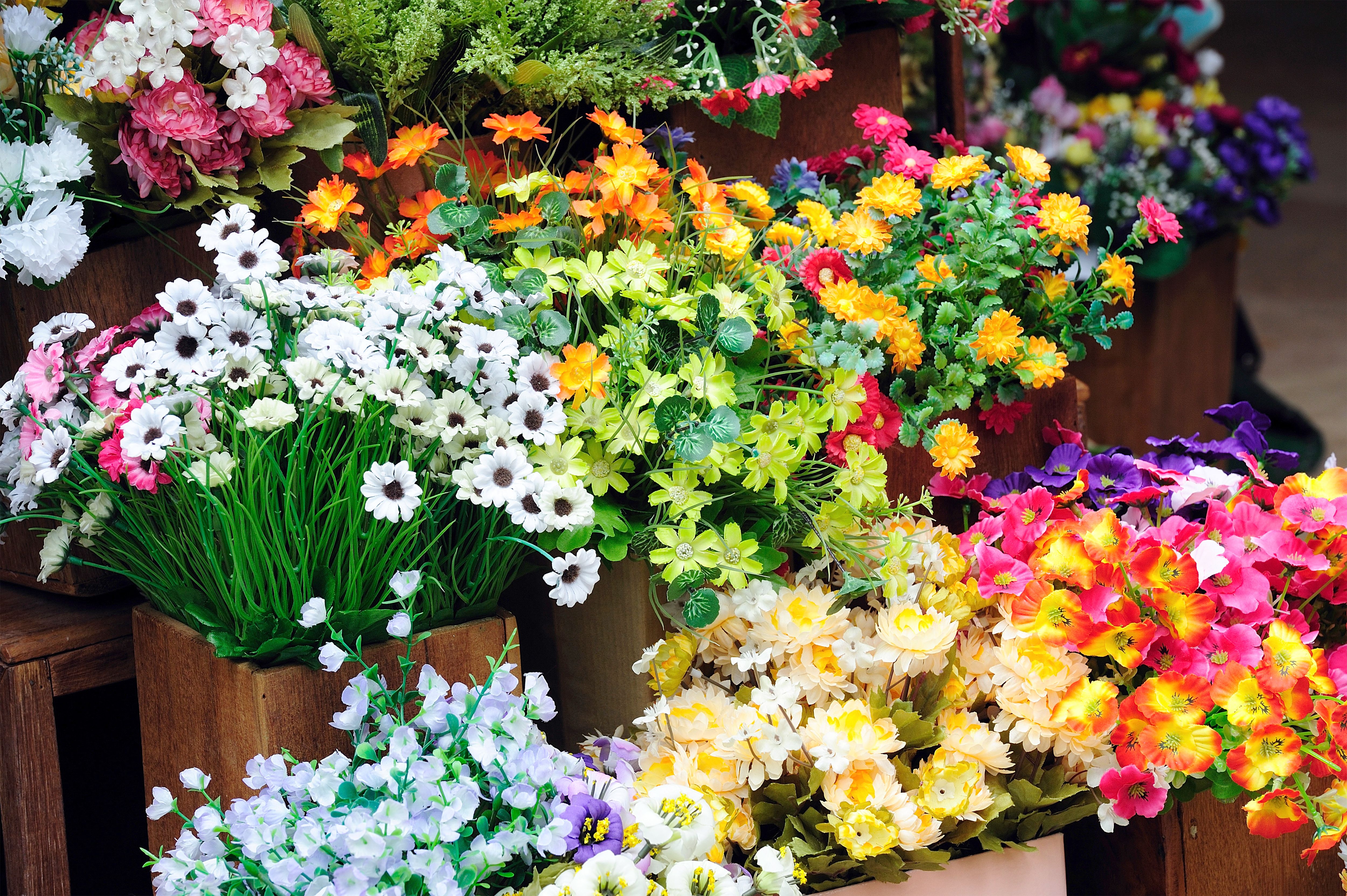 Flowers Shop Background Quality Image And Transparent PNG Free Clipart