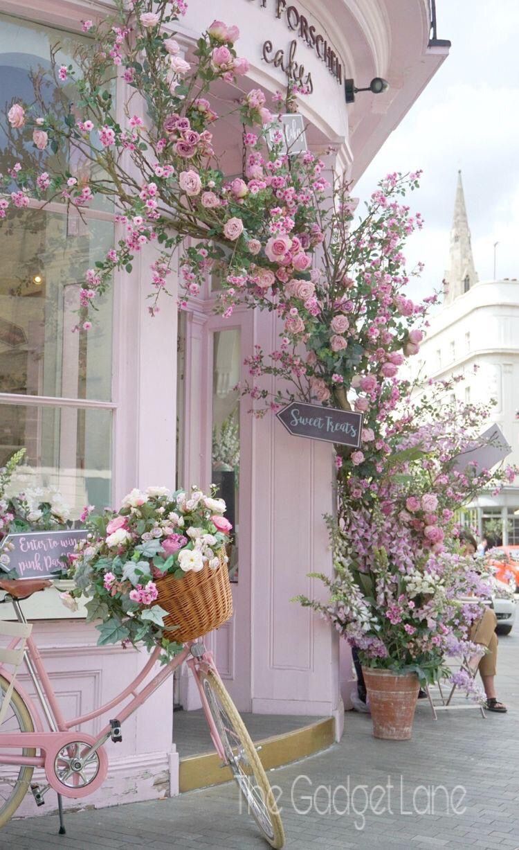 Flower Shop Wallpapers - Wallpaper Cave