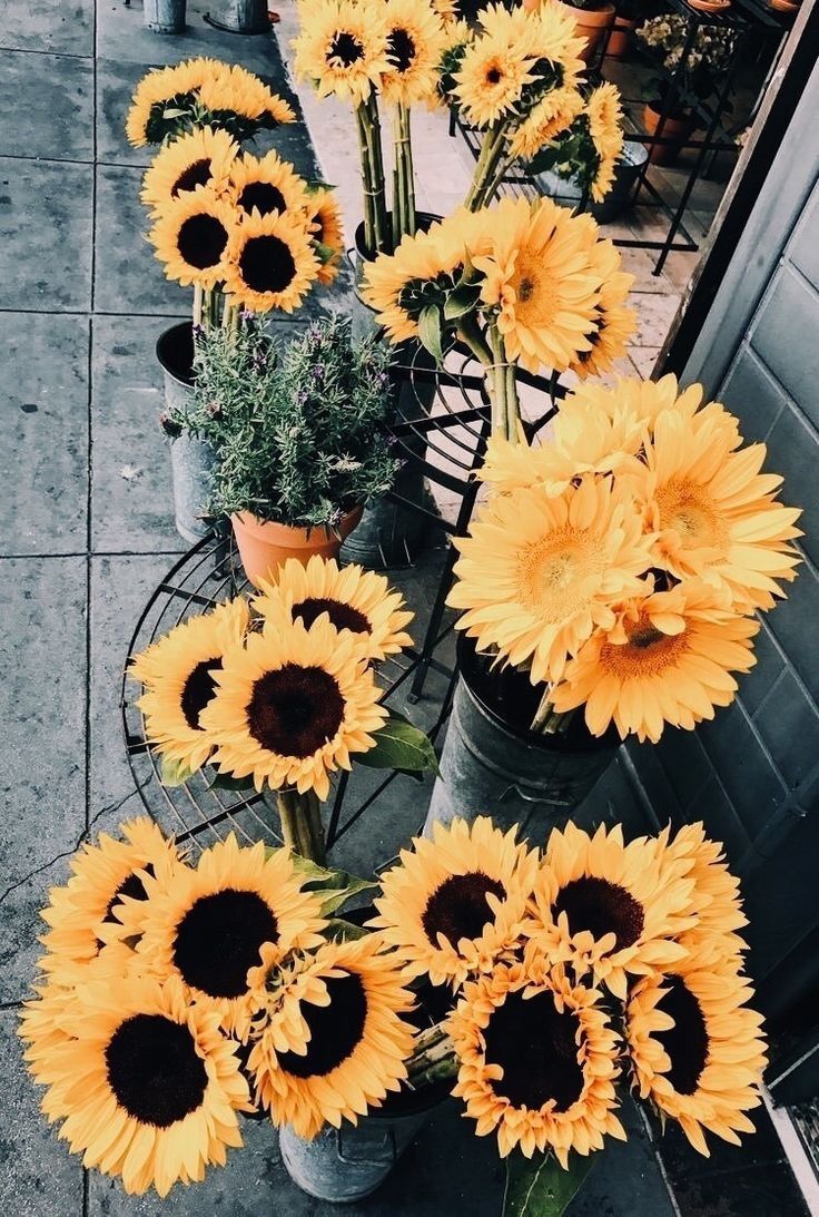 Flower Shop Wallpapers - Wallpaper Cave