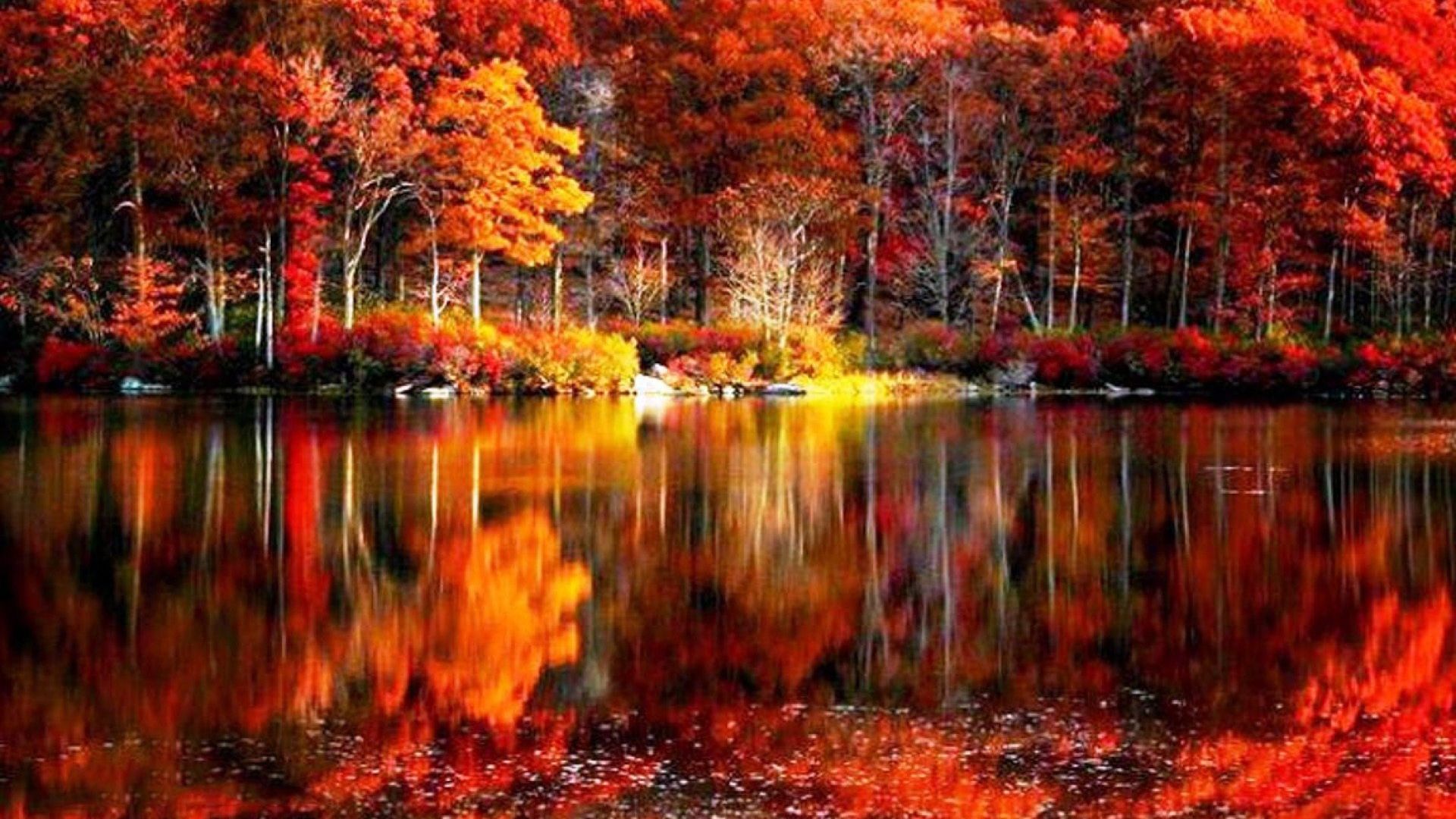 Free download Fall foliage river autumn red lake reflections shore beautiful [1920x1200] for your Desktop, Mobile & Tablet. Explore Fall Colors Reflection Wallpaper. Fall Colors Reflection Wallpaper, Fall Colors