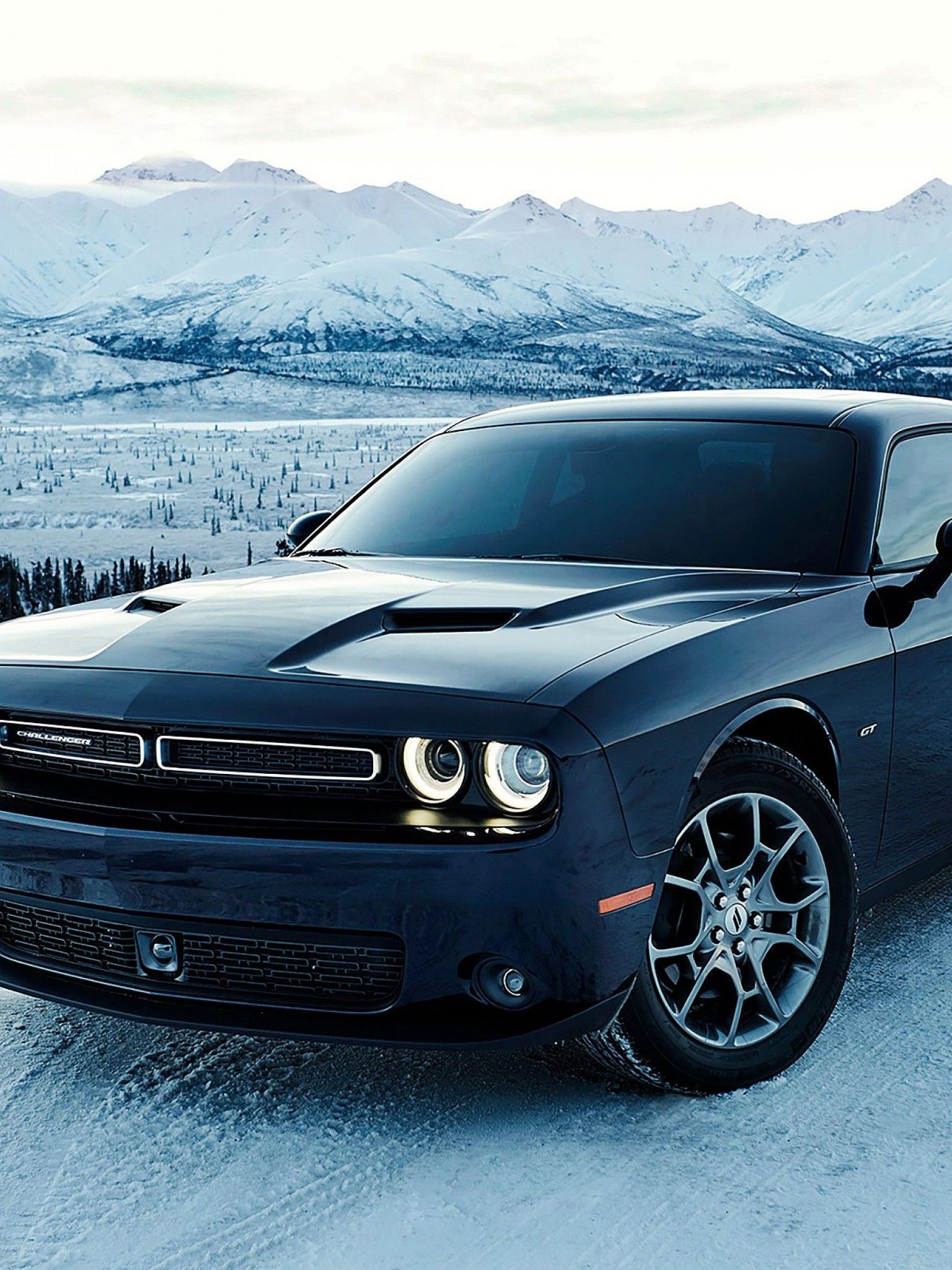 Dodge Challenger Car HD Wallpaper for Desktop and Mobiles Retina iPad