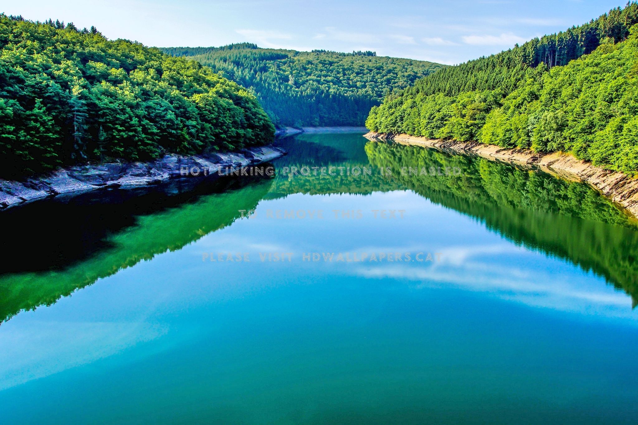 forest river beautiful hills reflection