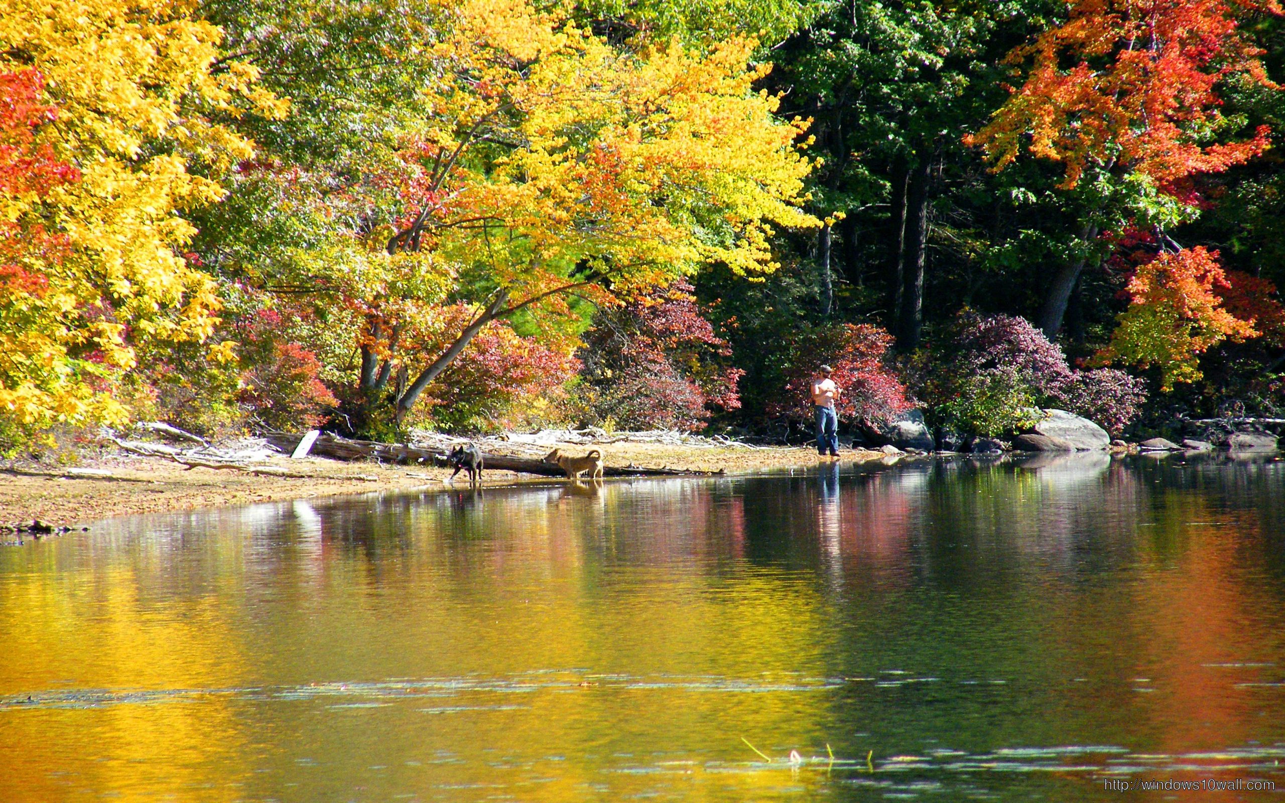 Beautiful River Nature Wallpaper 10 Wallpaper