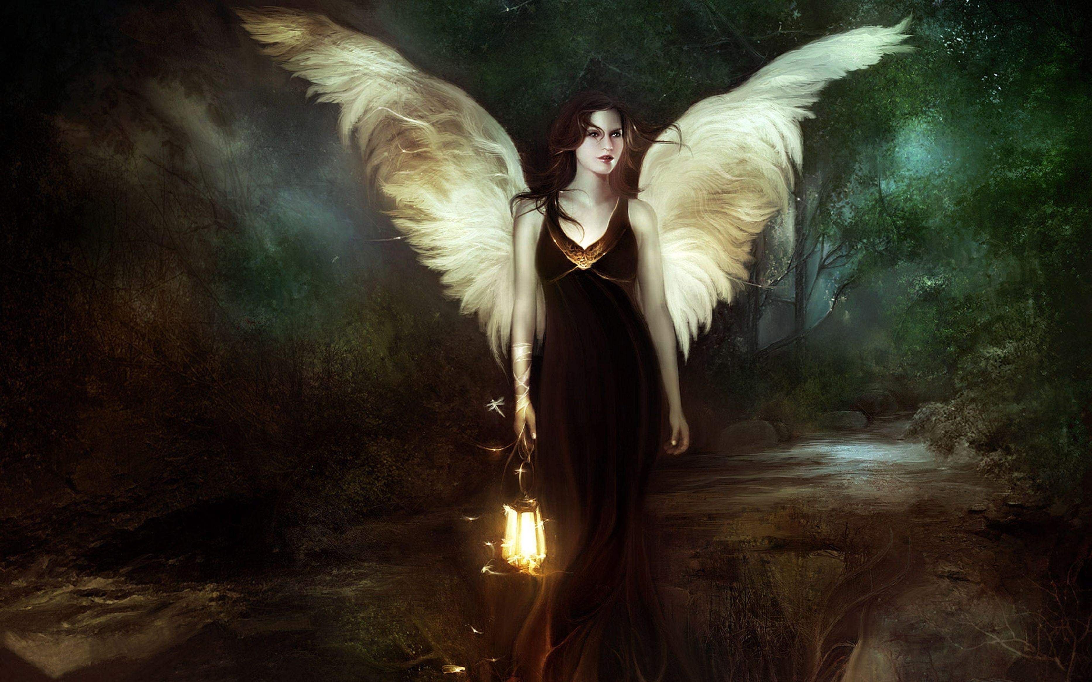 Girl, Angel, Wood, Lantern, Nigh, Hd, desktop, wallpaper, background, free, photo
