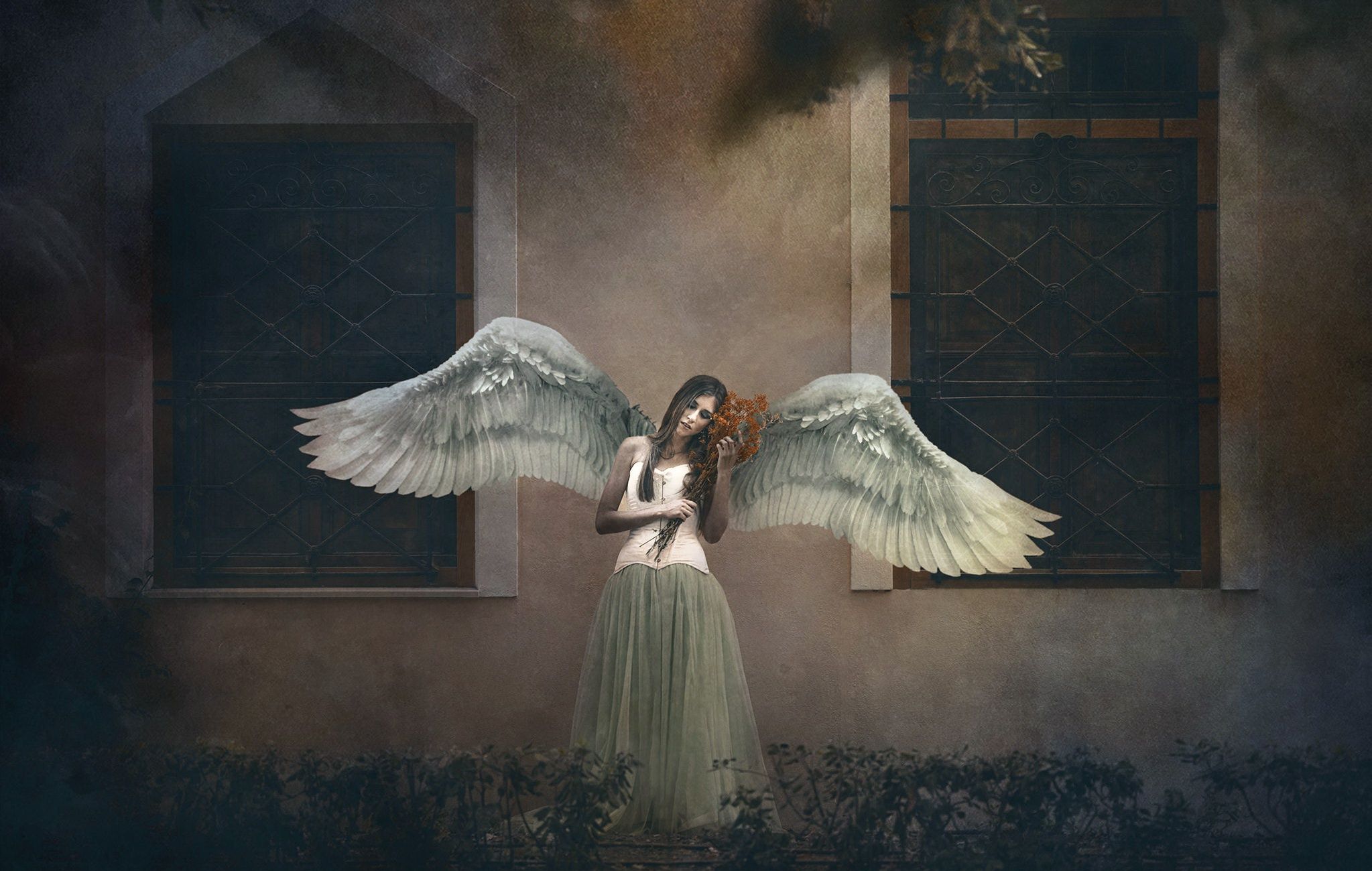Girl Angel Wings 1440x900 Resolution HD 4k Wallpaper, Image, Background, Photo and Picture