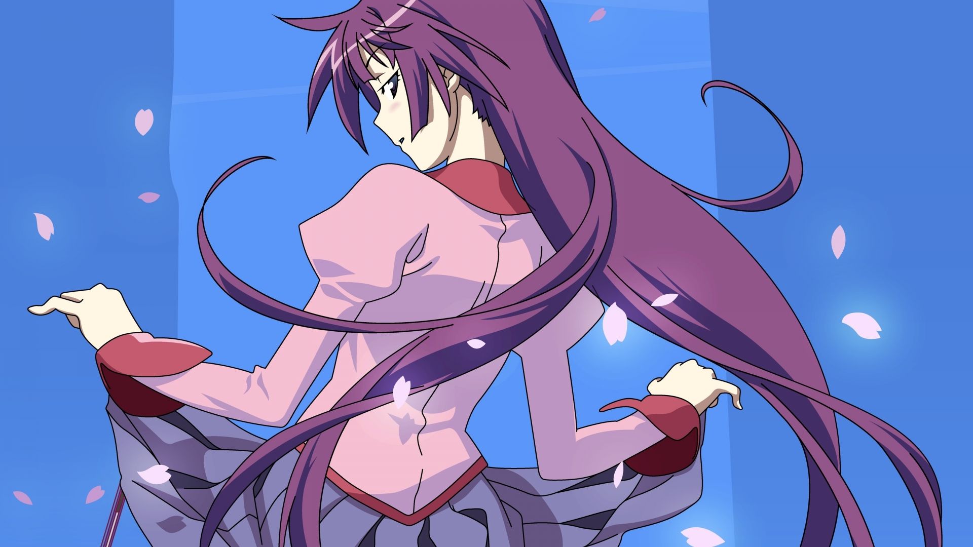 Hitagi Senjougahara, Monogatari HD Wallpaper & Background • 24951 • Wallur