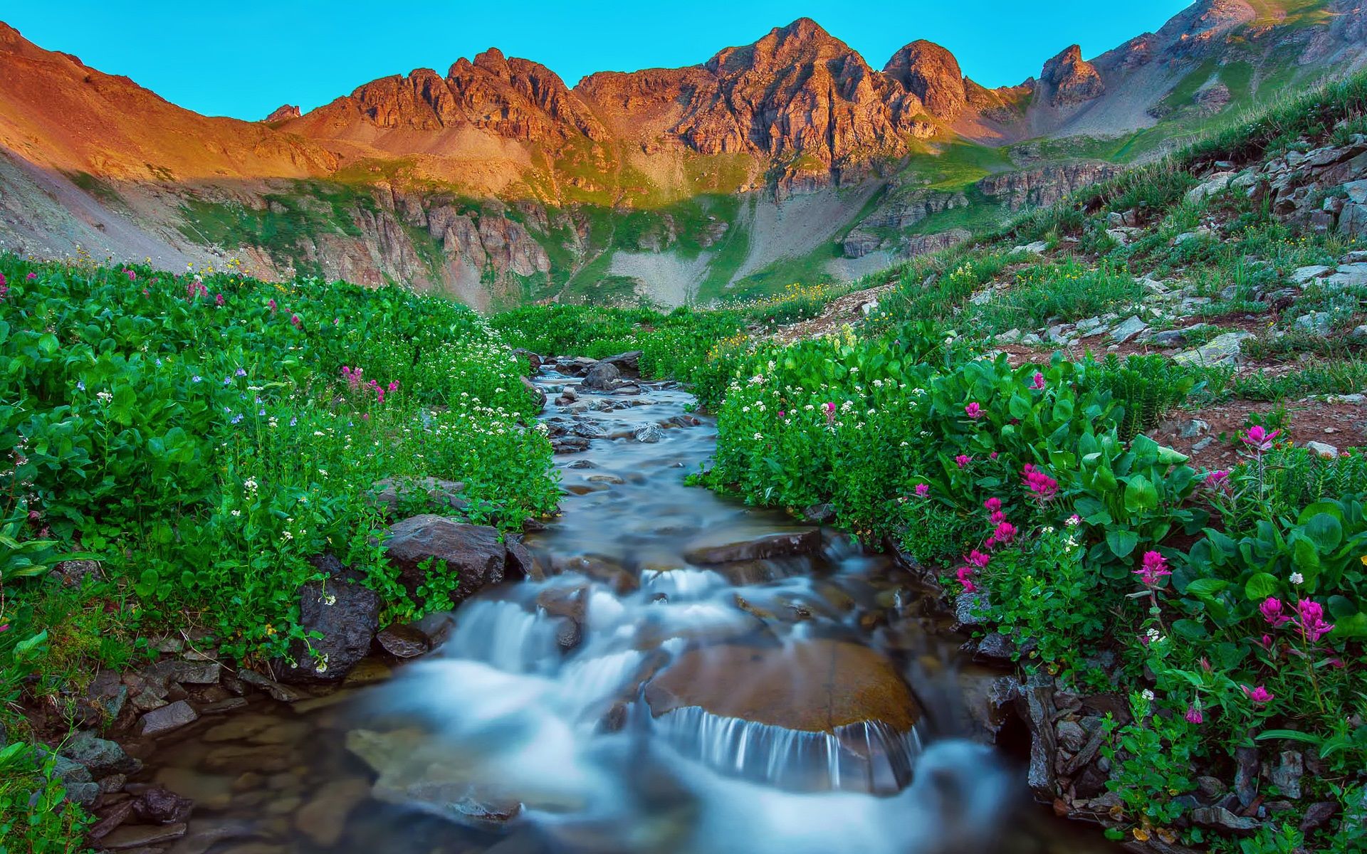 Wallpaper USA, Silverton, Colorado, morning, mountains, summer, stream, rocks, flowers 1920x1200 HD Picture, Image