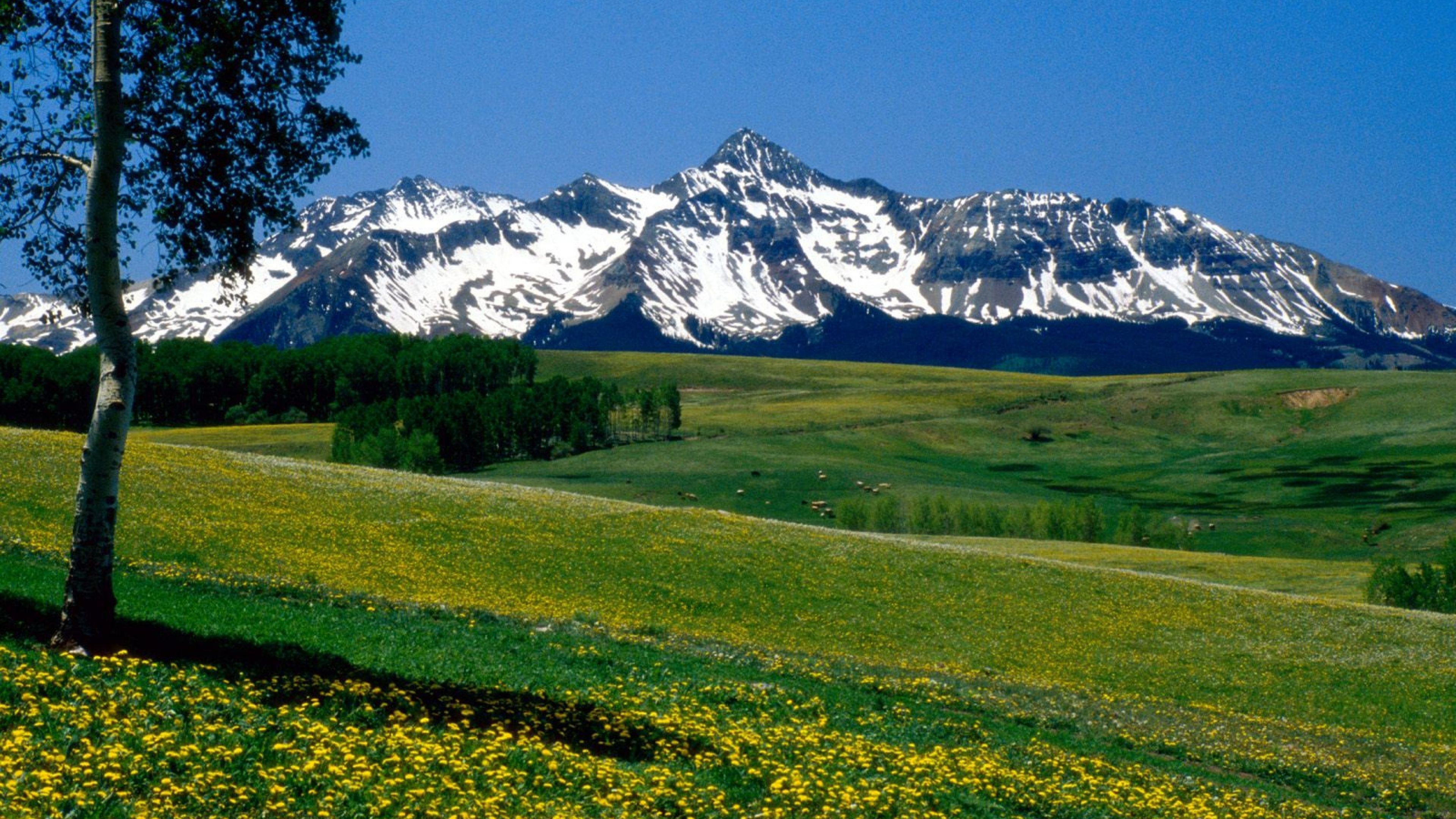 Colorado Background. Colorado Scenic Wallpaper, Colorado Scenery Wallpaper and Colorado Mountains Wallpaper