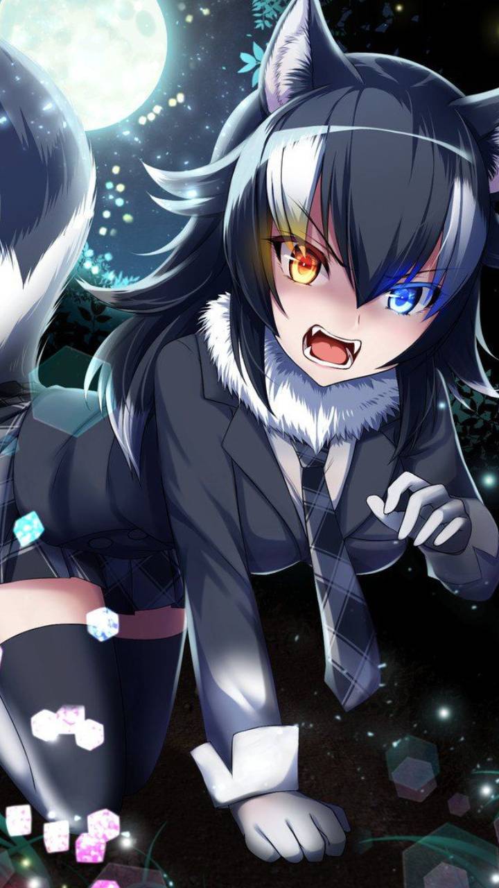Cute Anime Wolf Girl Wallpapers - Top Free Cute Anime Wolf Girl Backgrounds  - WallpaperAccess