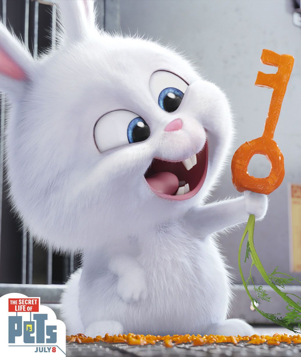 Snowball the rabbit tries DIY with this carrot key. The Secret Life of Pets. In Theaters July 8. Cartoon wallpaper, Secret life of pets, Pets movie