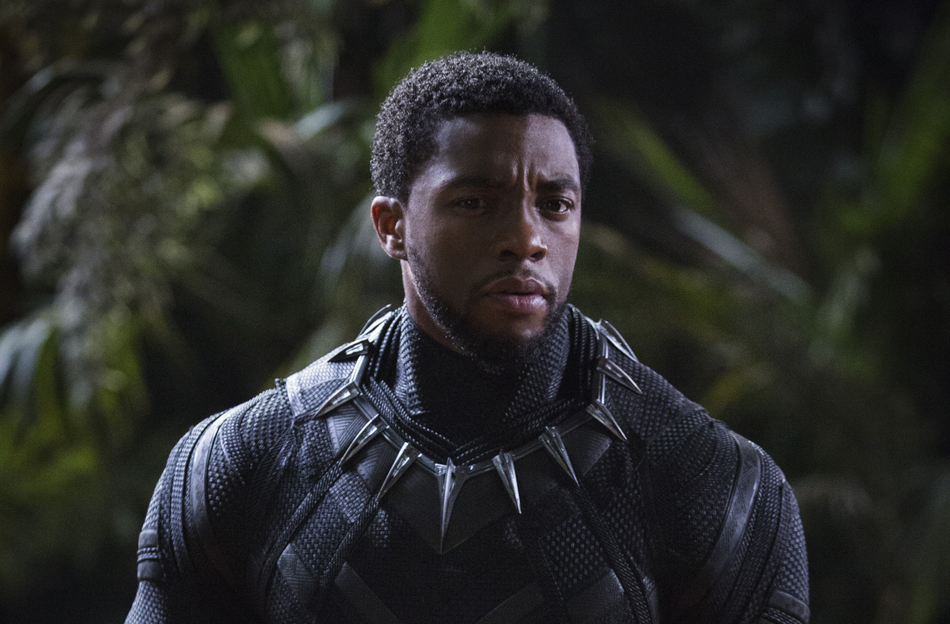 Chadwick Boseman Black Panther 4k 2018 iPad Air HD 4k Wallpaper, Image, Background, Photo and Picture