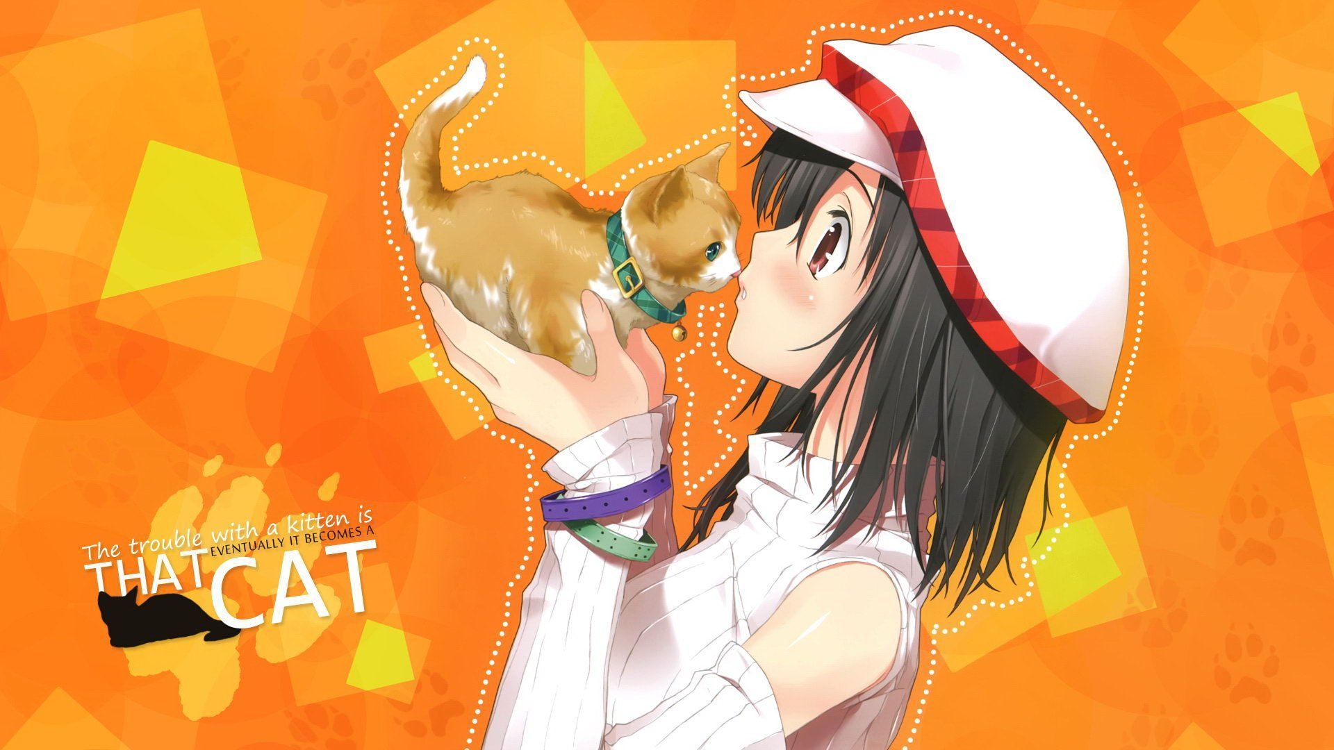 Cat Anime HD Wallpaper