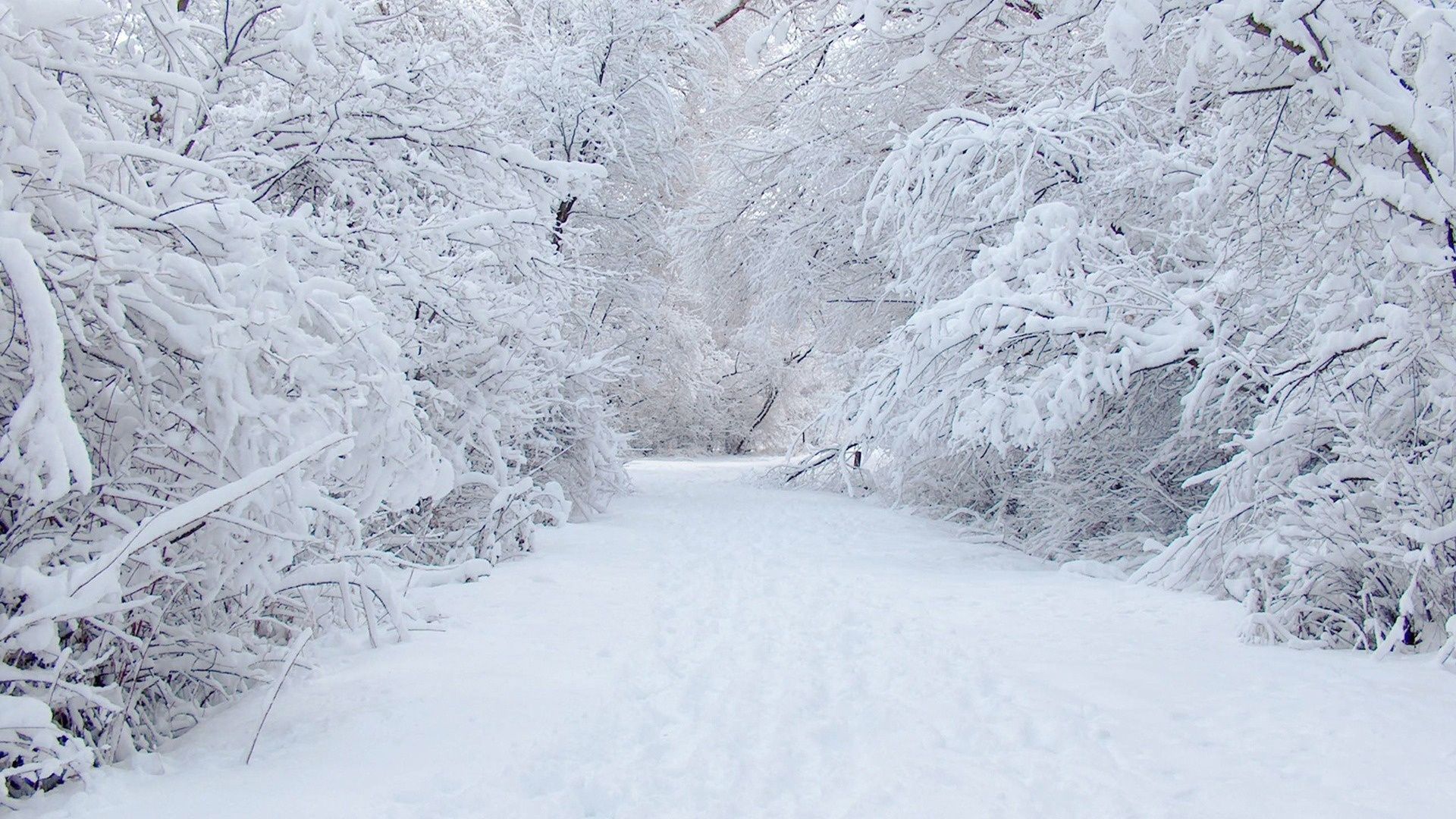 Free download Snow road wallpaper [1920x1080] for your Desktop, Mobile & Tablet. Explore Snow Wallpaper. Free Wallpaper Snow, Beautiful Winter Wallpaper, Christmas Snow Wallpaper