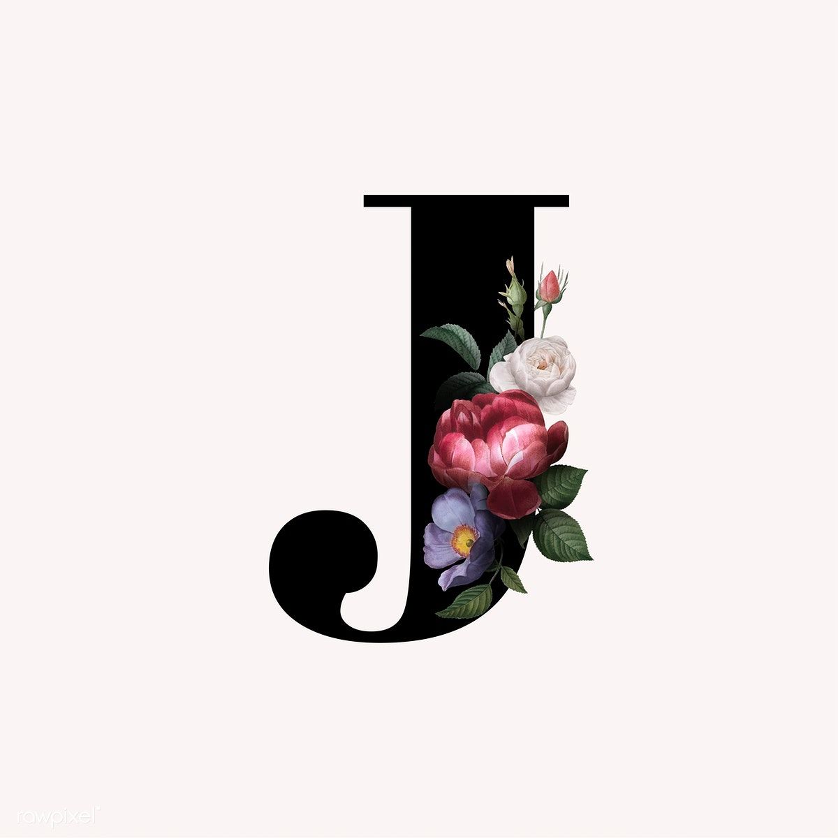 Classic and elegant floral alphabet font letter J vector. free image by rawpixel.com. Lettering fonts, Lettering alphabet fonts, Fonts alphabet