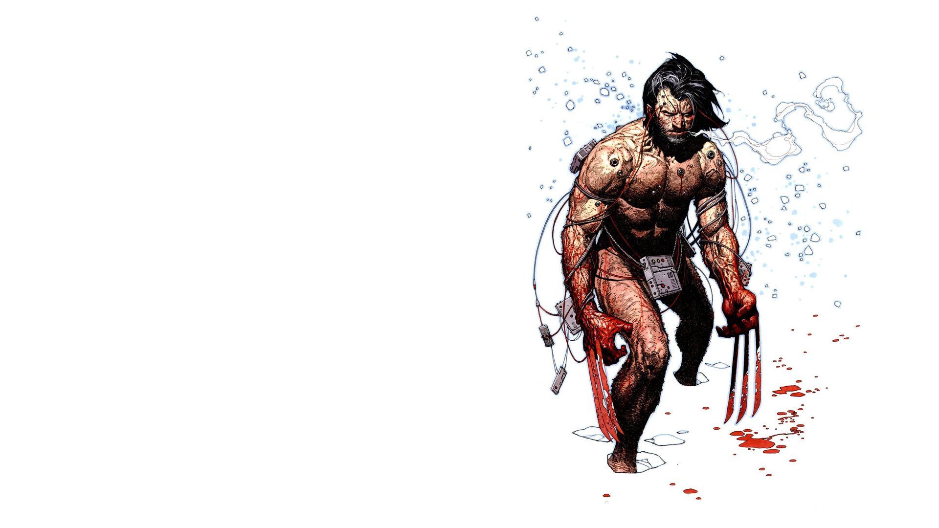 Wolverine, Marvel Comics wallpaper