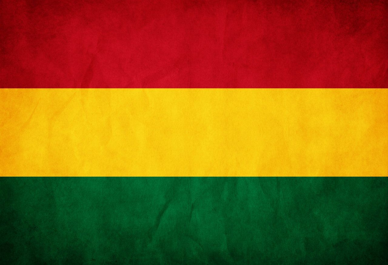 Bolivia Grunge Flag by think0. Flag art, Flag, Bolivia flag
