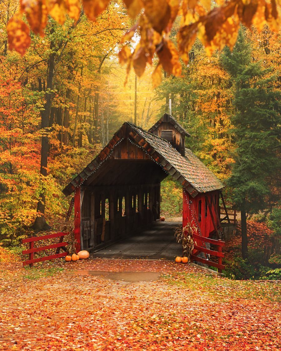 The pouring rain made the fall colors really shine at the Loon Song Covered Bridge the other day!. Autumn scenery, Covered bridges, Scenery