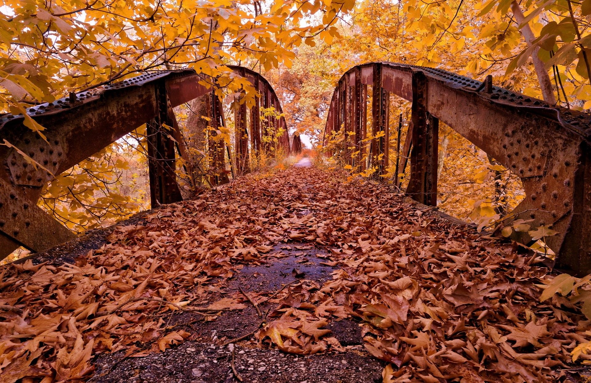 Autumn Bridge HD Wallpaper