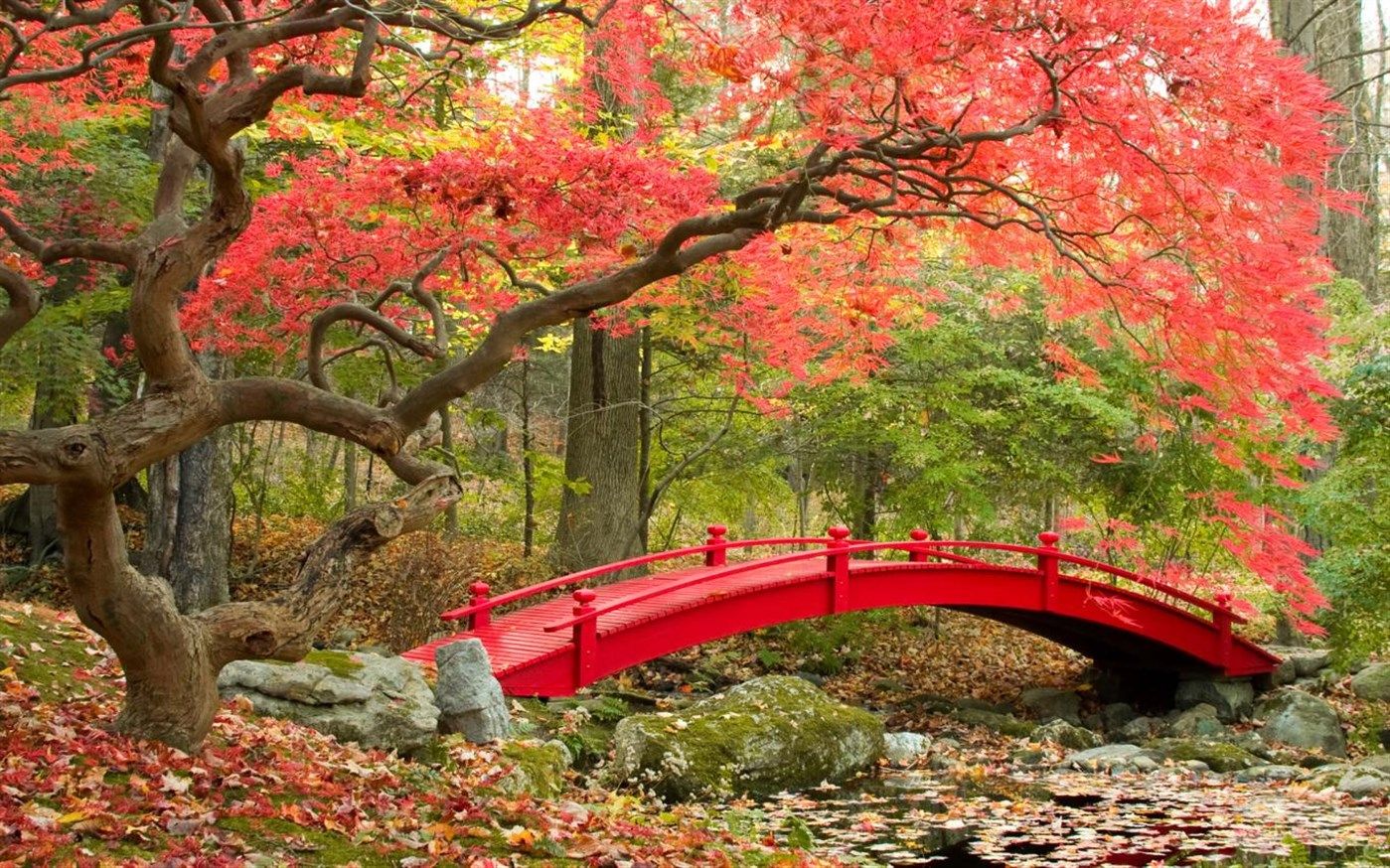 Microsoft celebrate the changing season with new free Bridges in Autumn Windows 10 wallpaper pack