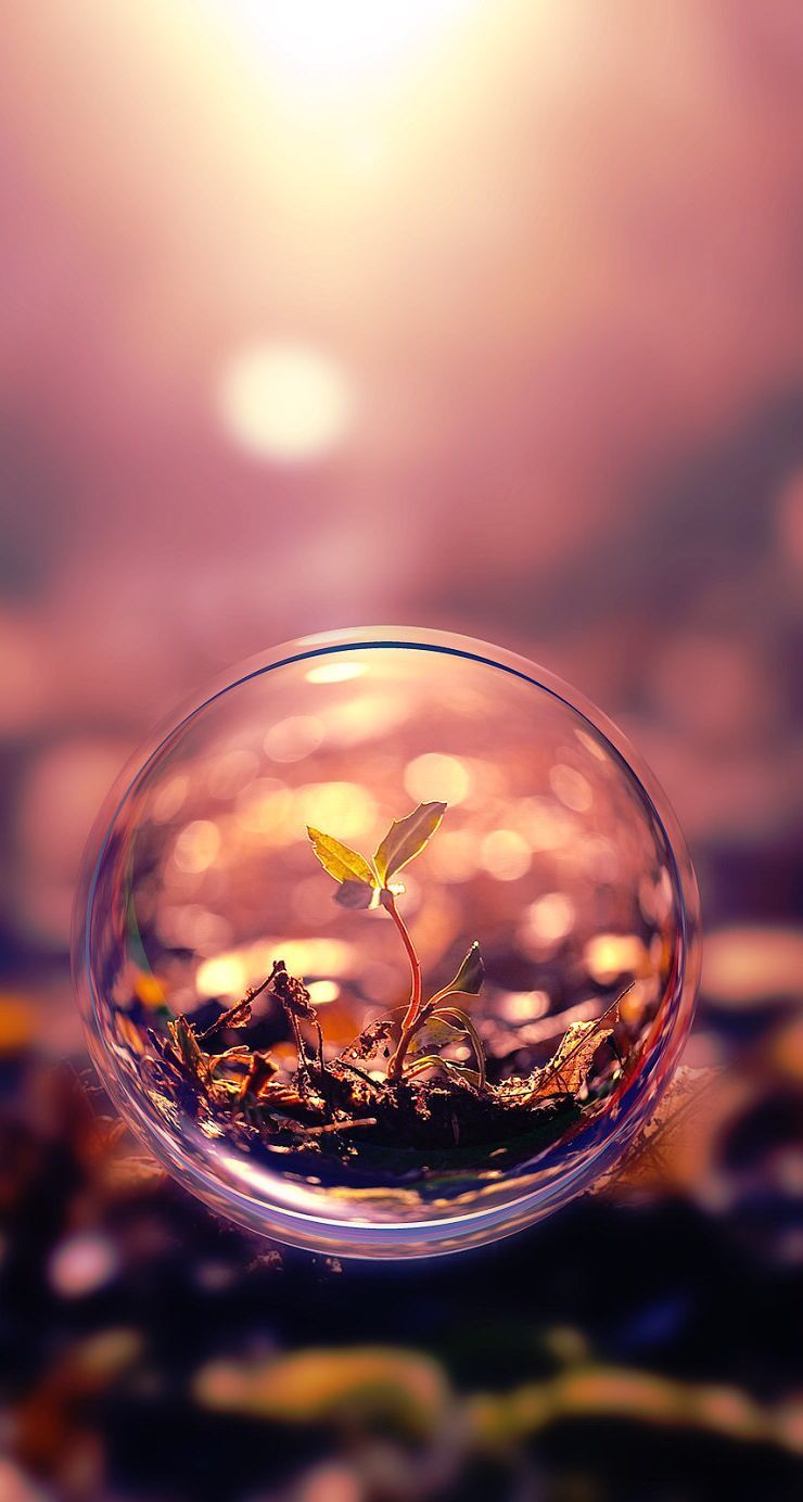 Miracles of nature. Bubbles wallpaper, Beautiful macro photography, Beautiful wallpaper