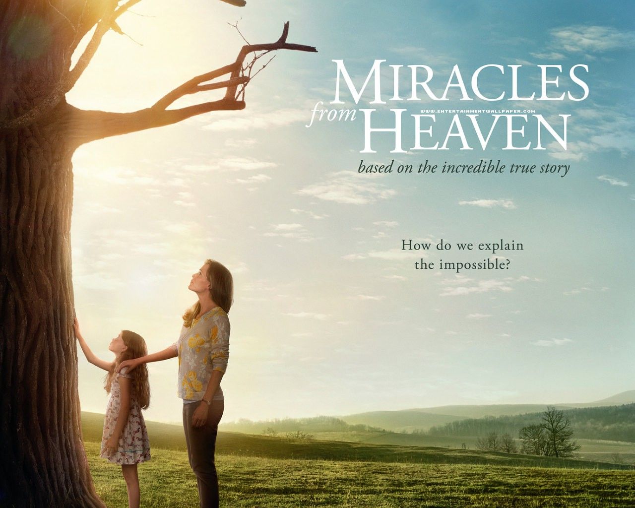 Miracles From Heaven, HD Movies, 4k Wallpaper, Image, Background, Photo and Picture