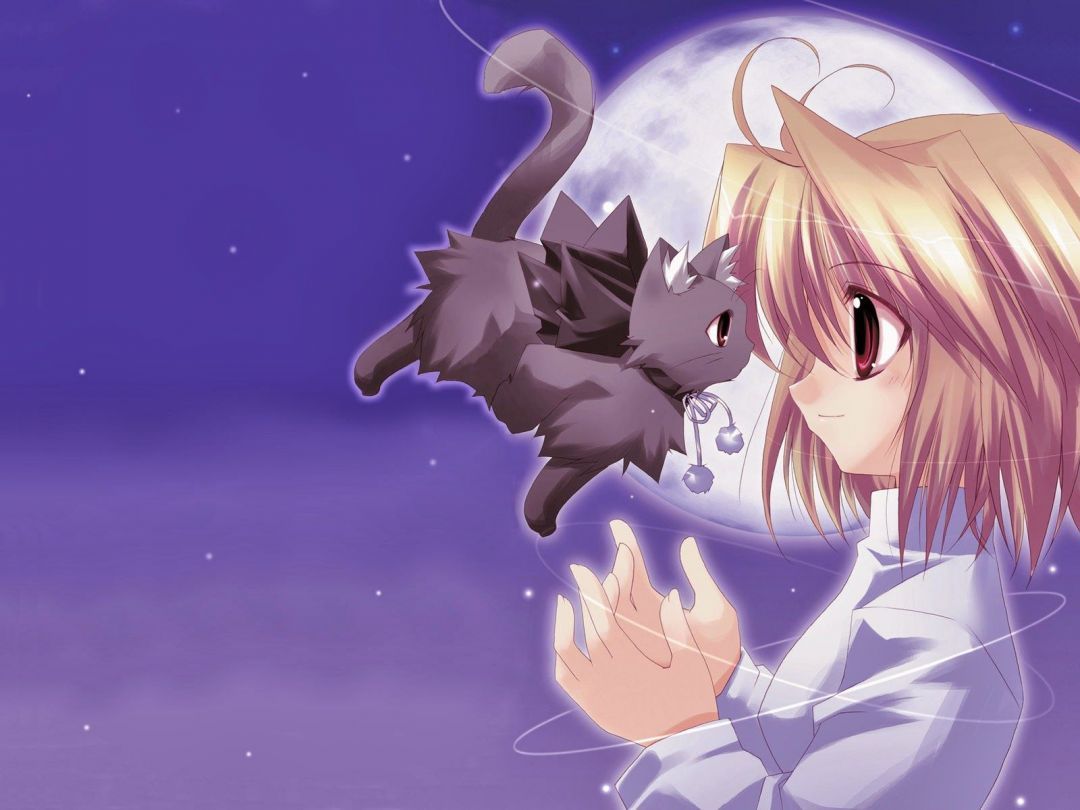 Kawaii Anime Cat HD Wallpaper (Desktop Background / Android / iPhone) (1080p, 4k) (1600x1200) (2020)