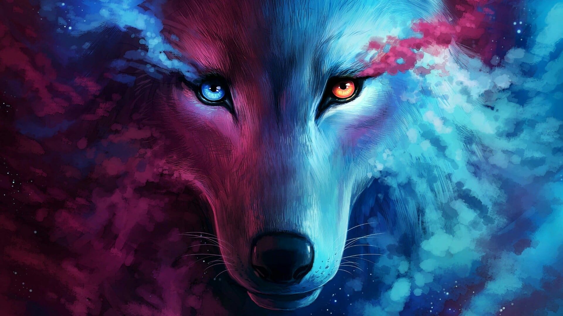 Best Cool Wolf Wallpaper Cute Wallpaper