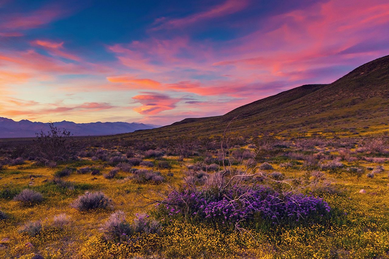 Desktop Wallpaper California USA Mojave Desert Nature Hill
