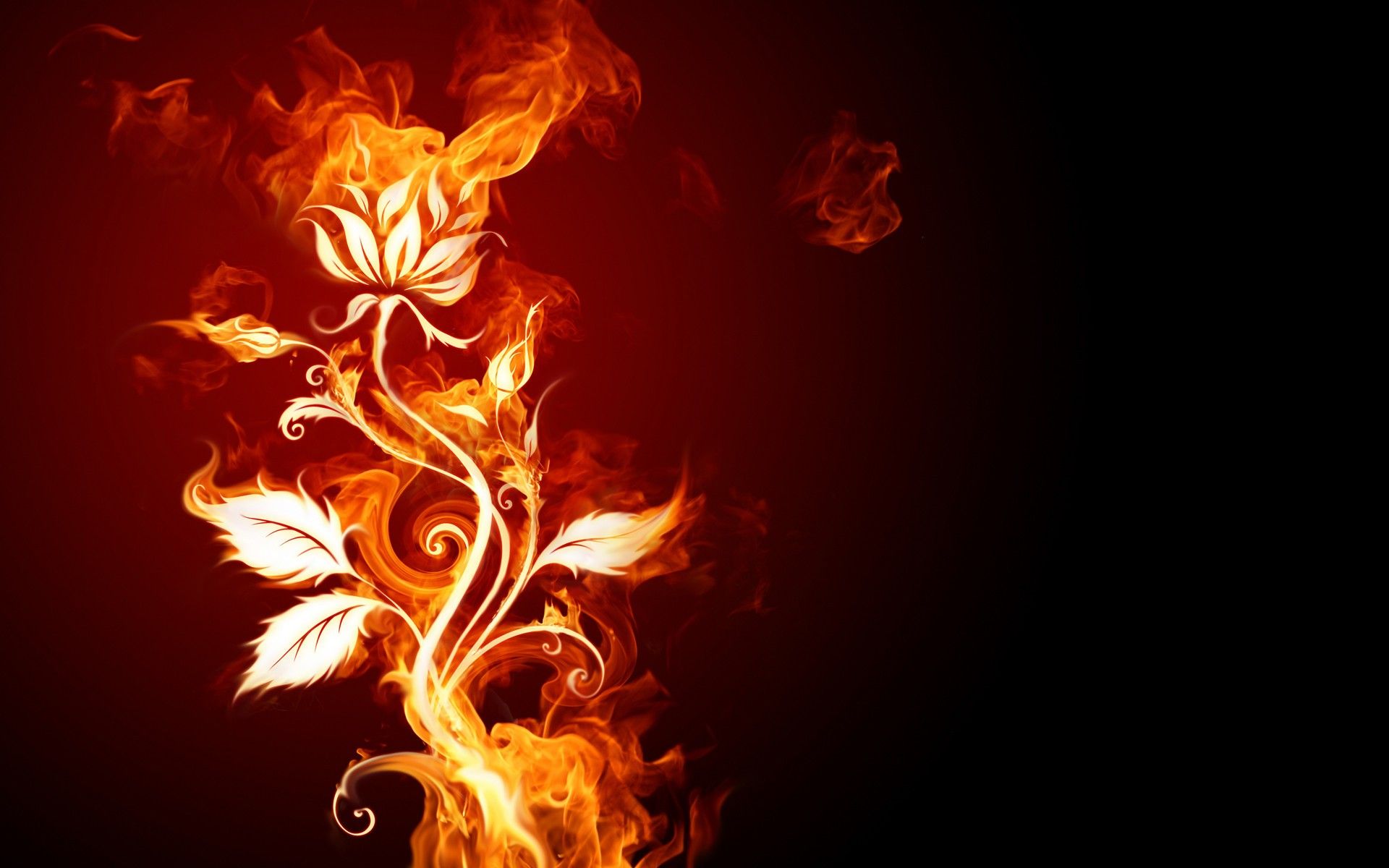 flames, flowers, fire, smoke, black background wallpaper