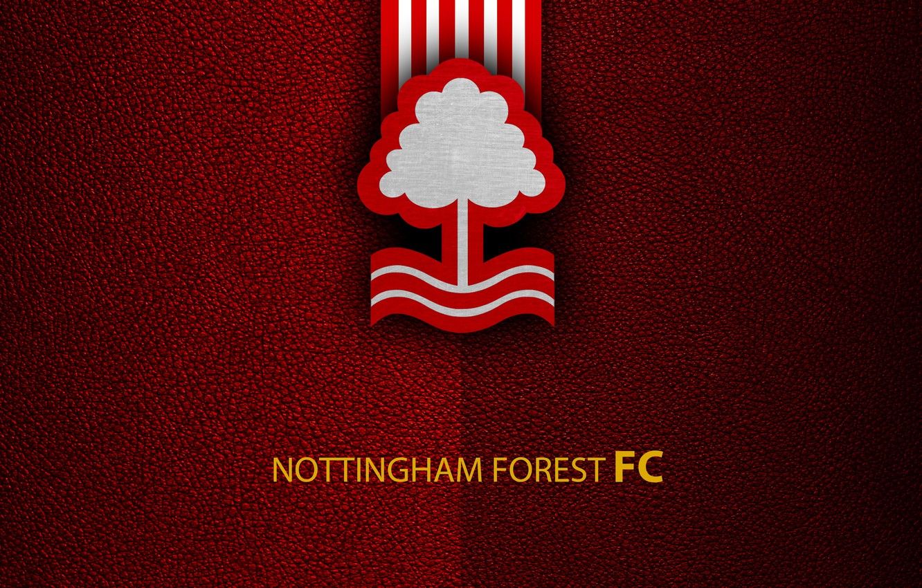 Wallpaper wallpaper, sport, logo, football, English Premier League, Nottingham Forest image for desktop, section спорт