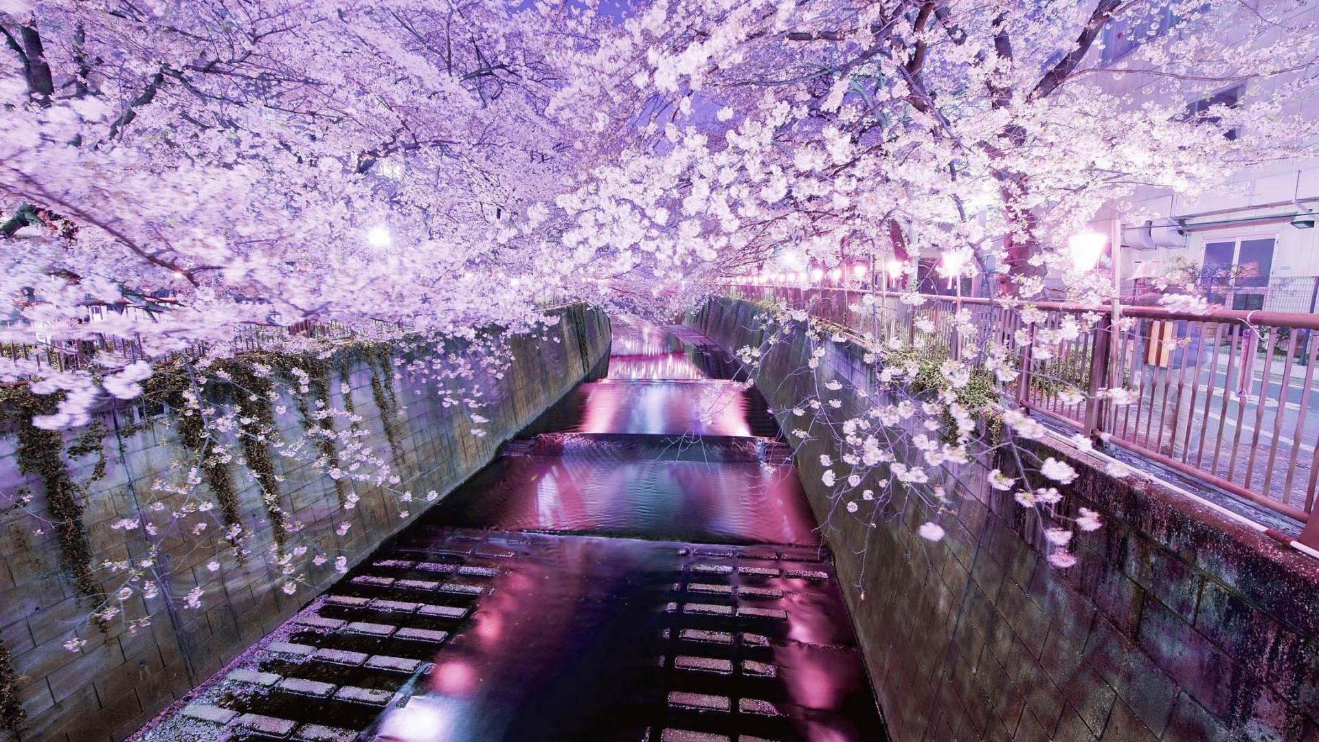 Lilac Aesthetic Japan Wallpaper posted .cutewallpaper.org