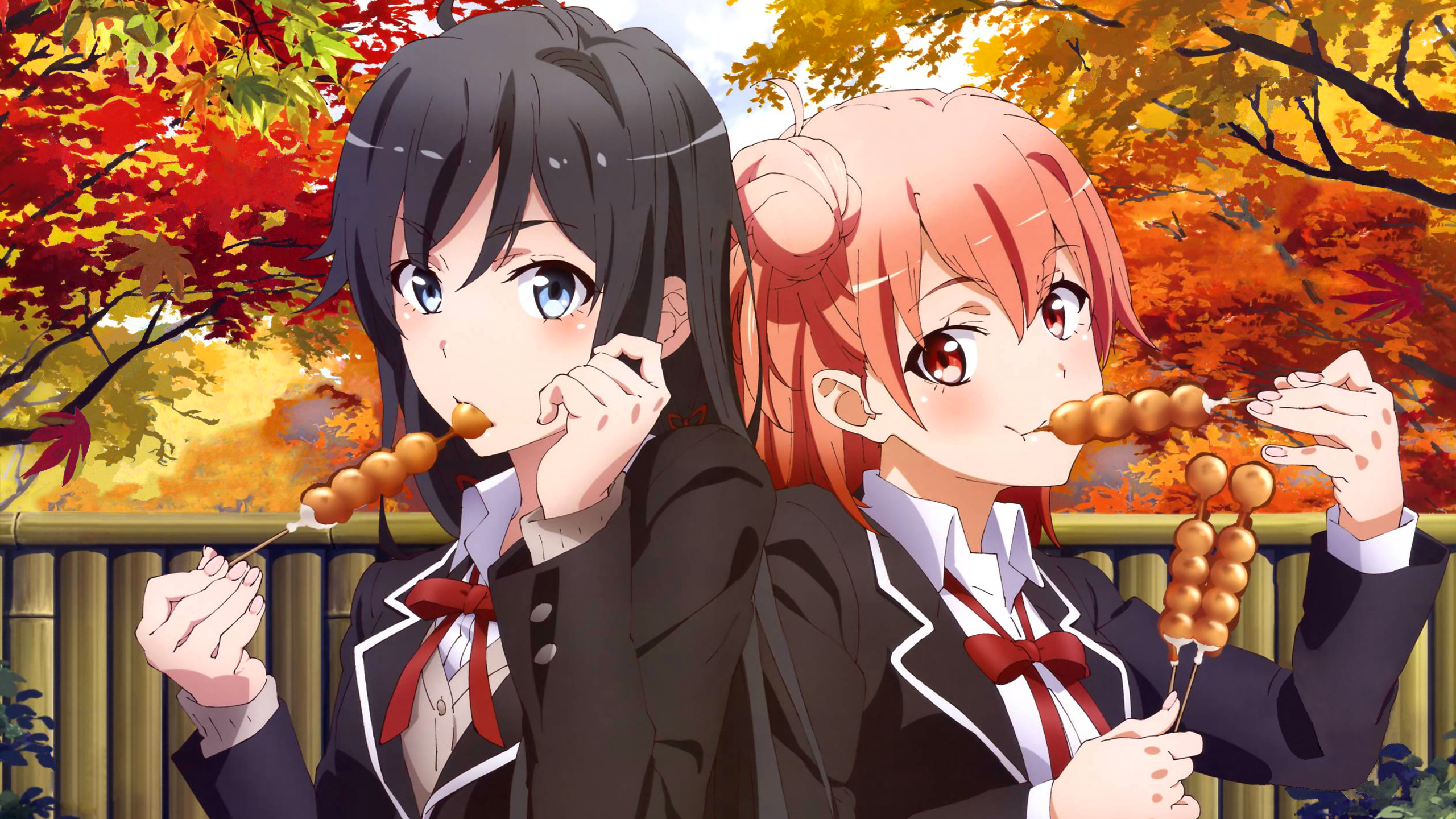 Yukinon and Yui [Oregairu][1440p]