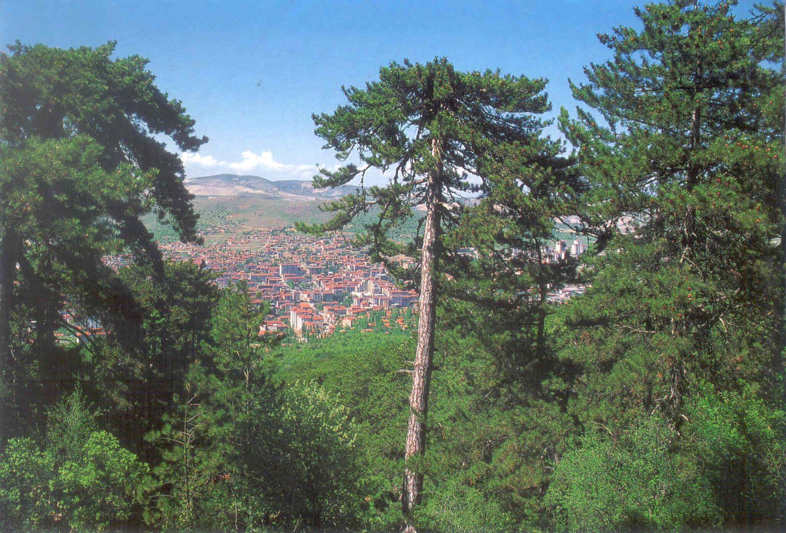 yozgat cam picture, yozgat cam photo, yozgat cam wallpaper