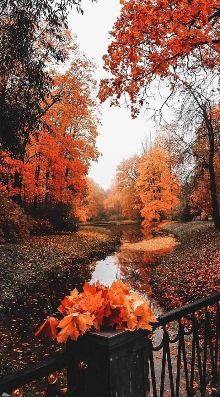 22 beautiful autumn image, autumn image free, autumn aesthetic, fall aesthethic, fall image, beautiful pict…