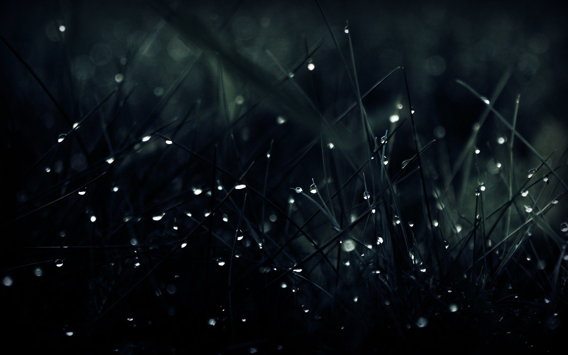 For Computers wallpaper 1920x1200 44634