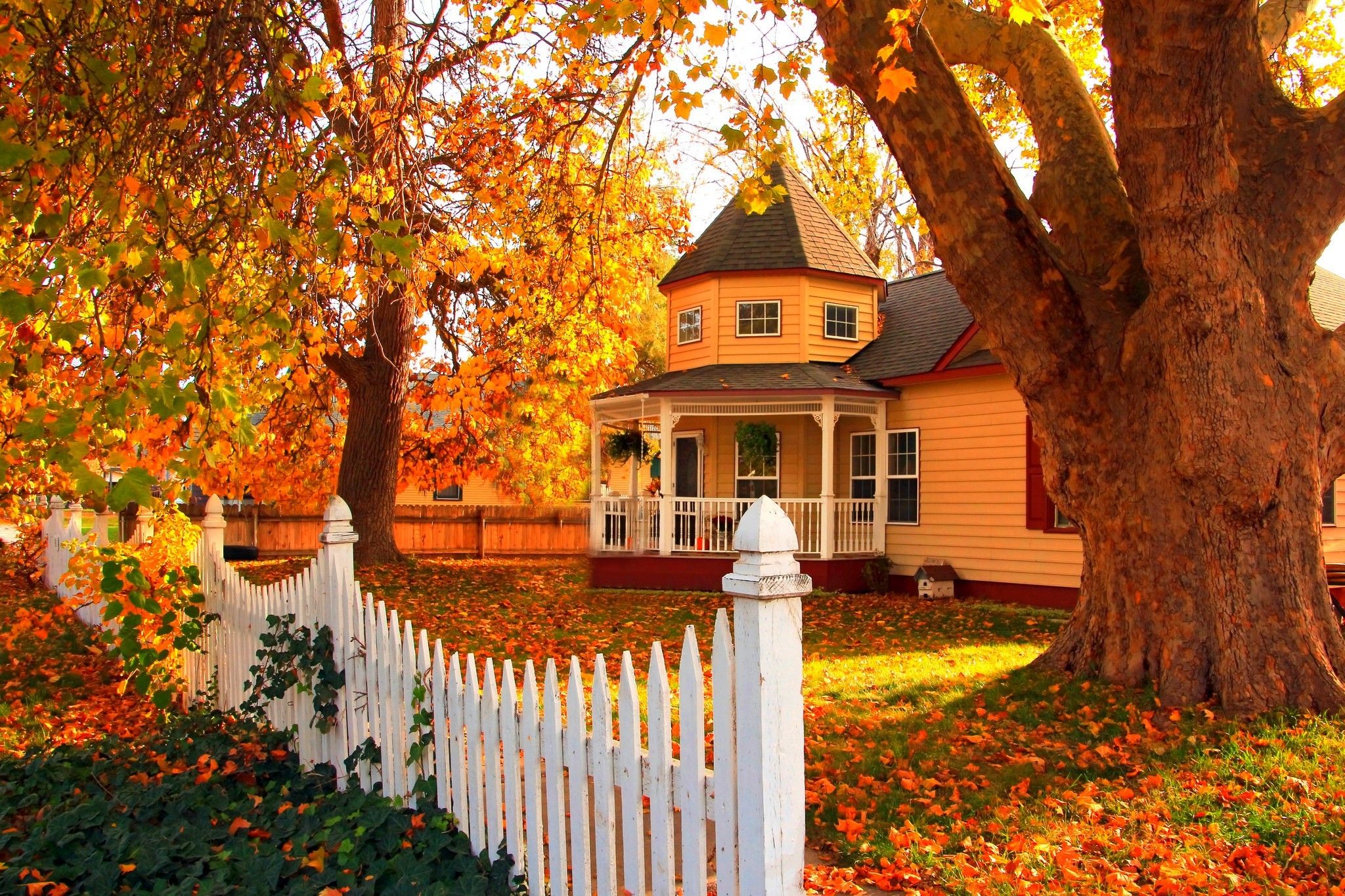 Fall Background House