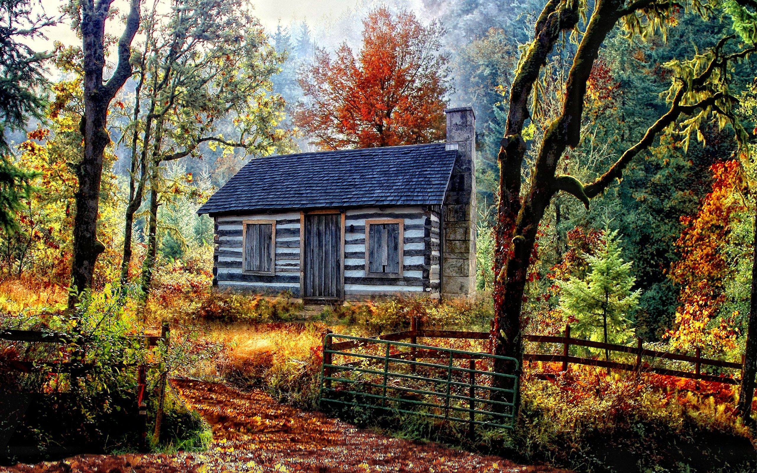 Autumn forest house nature landscape wallpaperx1600