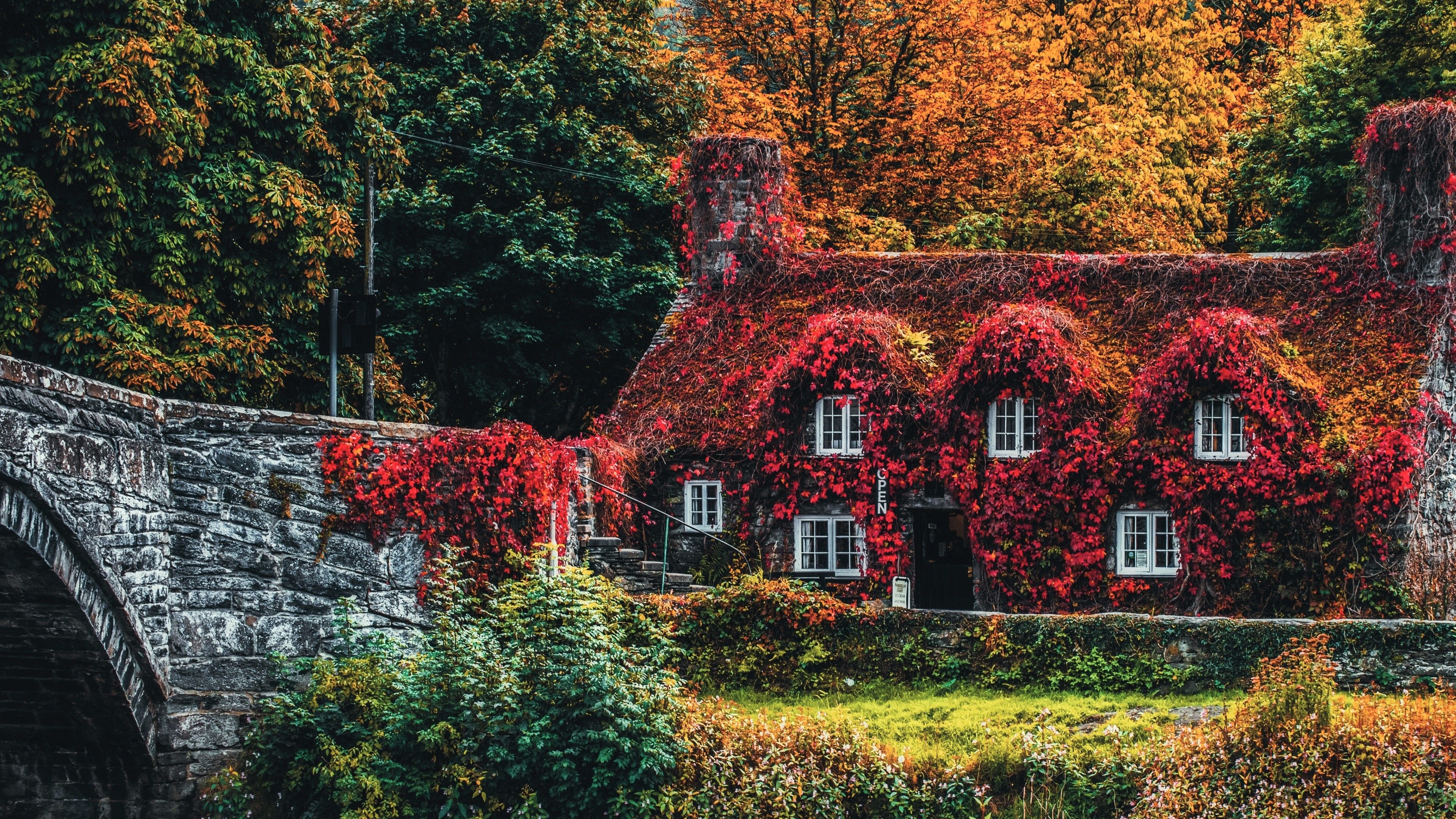 Ivy Covered House In Wales In Autumn 4k Ultra HD Wallpaper