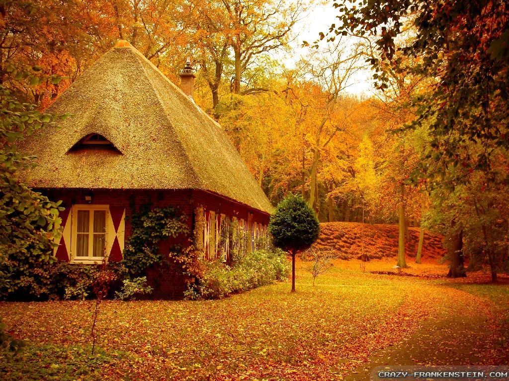 Autumn Home Wallpaper