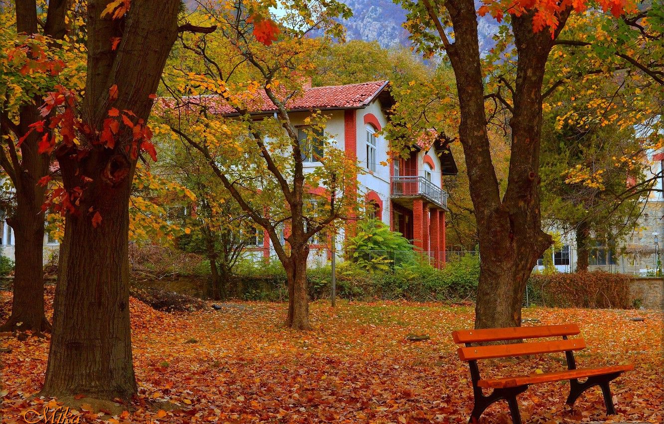 Wallpaper Autumn, Bench, House, Park, Fall, Foliage, Park, Autumn image for desktop, section природа