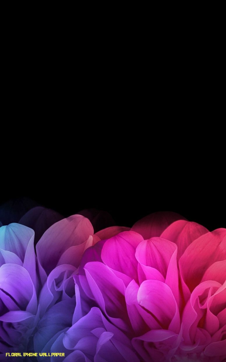 Free Download Black Floral iPhone Wallpaper Phone Background Colorful Flower Background HD Wallpaper