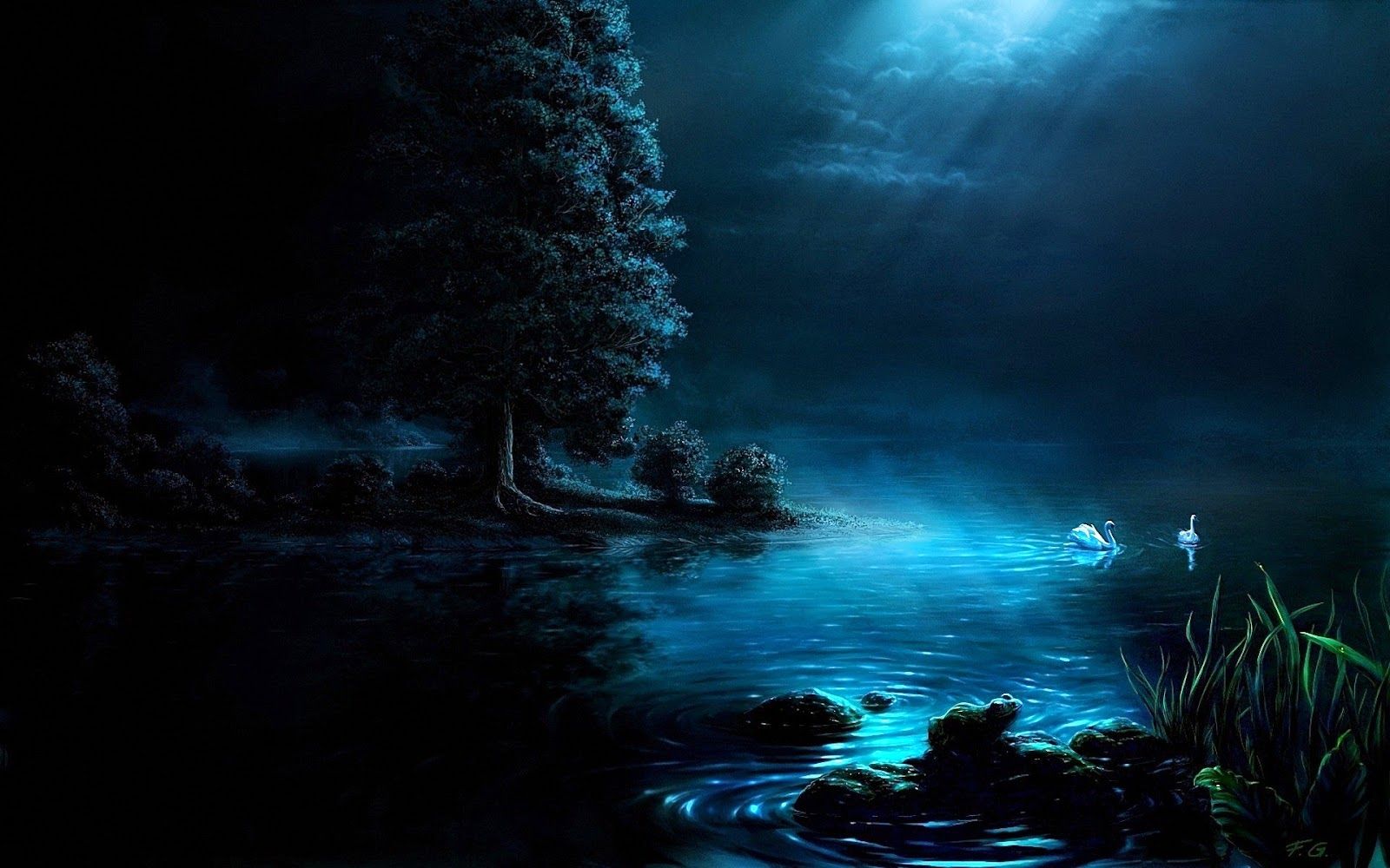 Online Fun: Night Nature HD Wallpaper For PC
