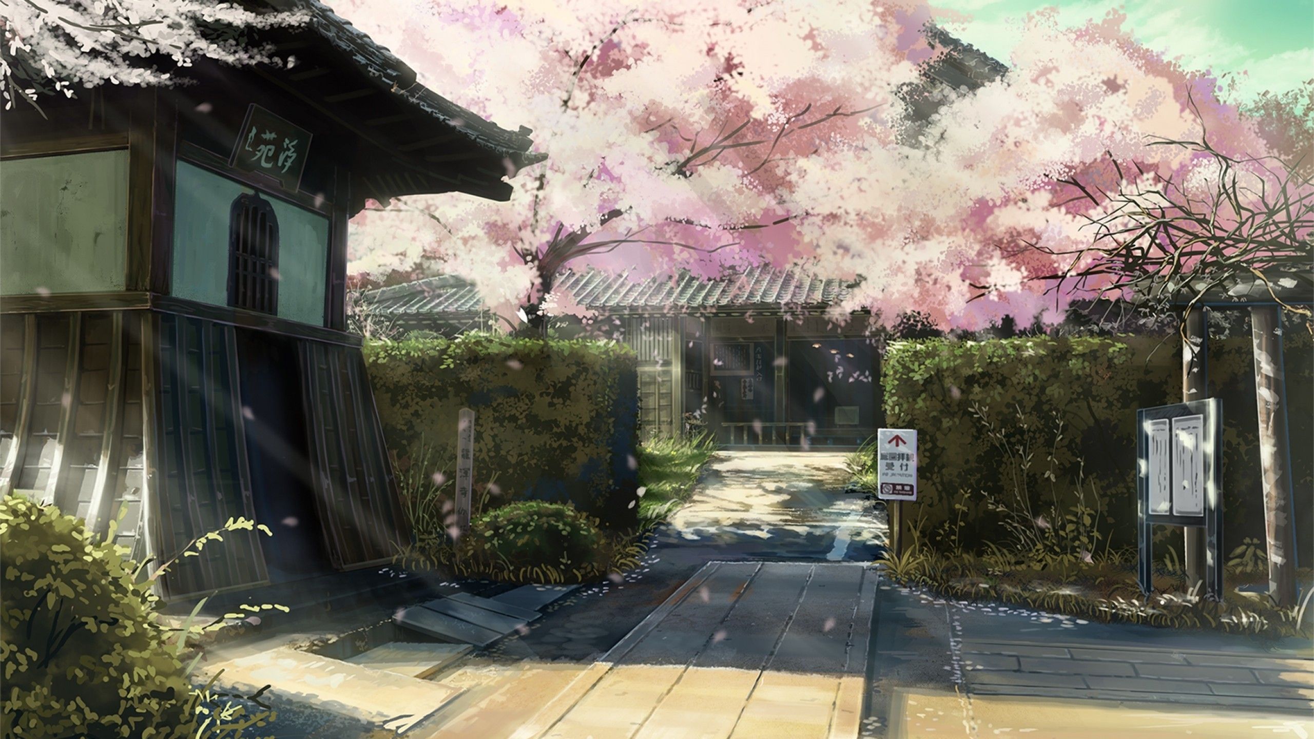 Download 2560x1440 Cherry Blossom, Scenic, Anime Houses, Sunlight Wallpaper for iMac 27 inch