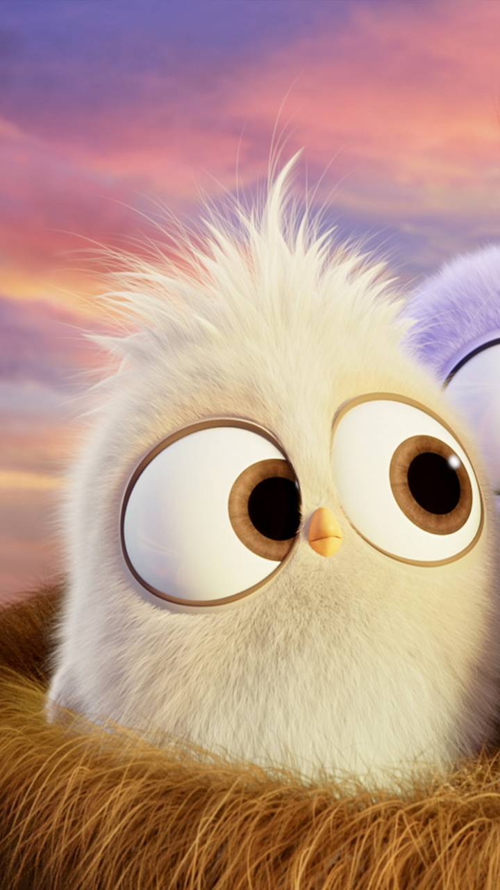 Trending The Angry Birds Movie 4K wallpaper