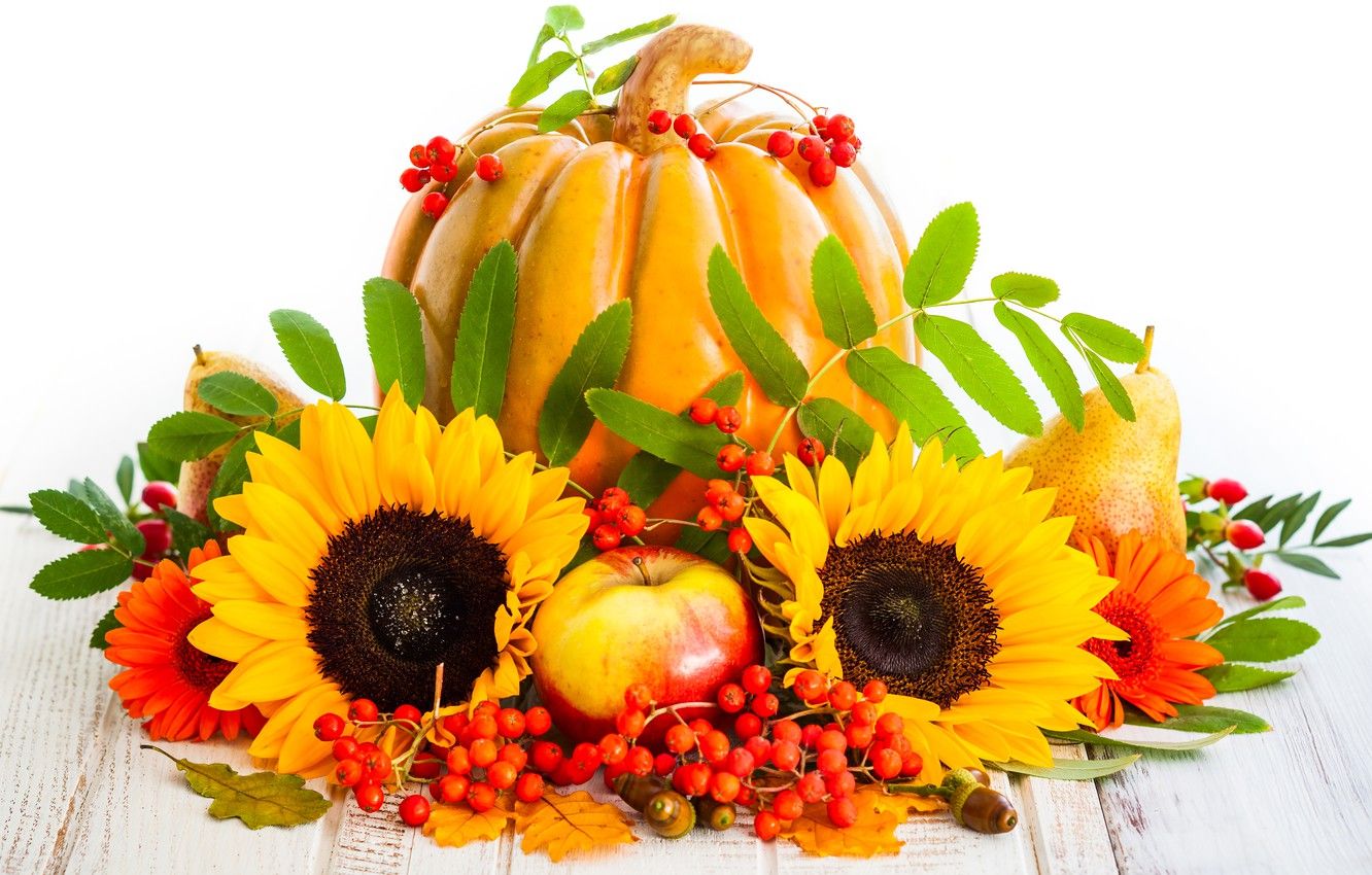 Wallpaper autumn, leaves, sunflowers, berries, apples, harvest, pumpkin, fruit, pear, autumn, pumpkin, sunflower, harvest image for desktop, section еда